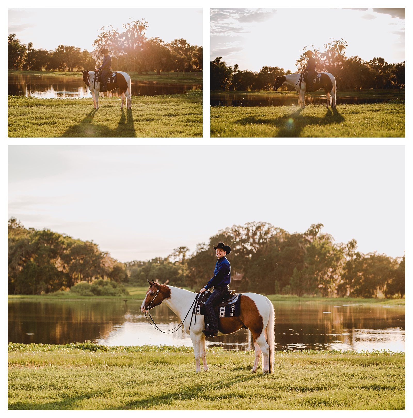 Western pleasure pinto horse by a lake in Florida.