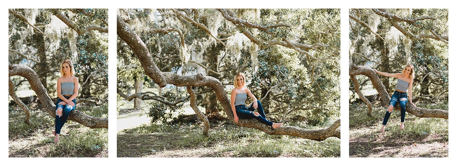 girl posed on a tree in jacksonville florida