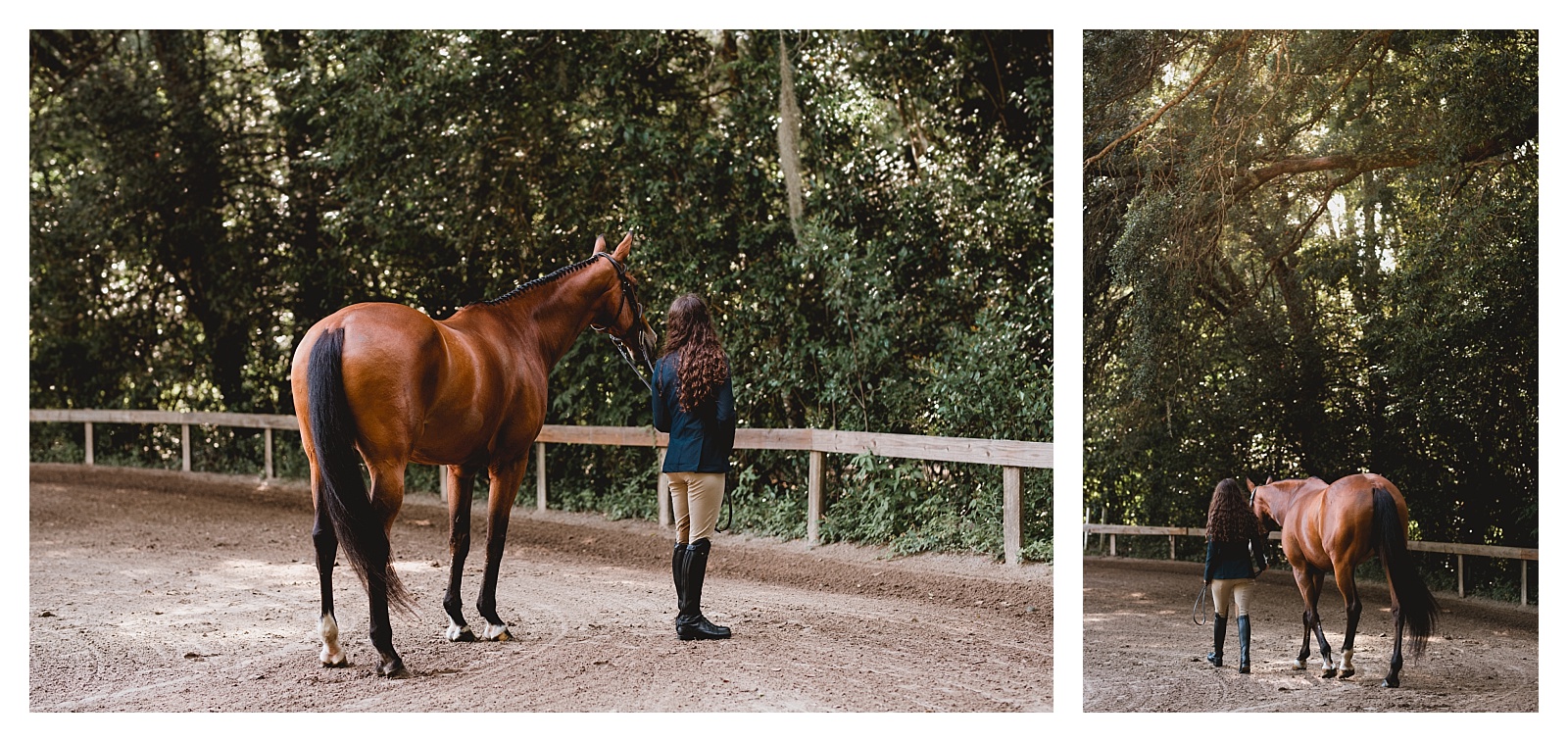 Candid pictures of girl walking her horse in hunter/jumper show clothes.