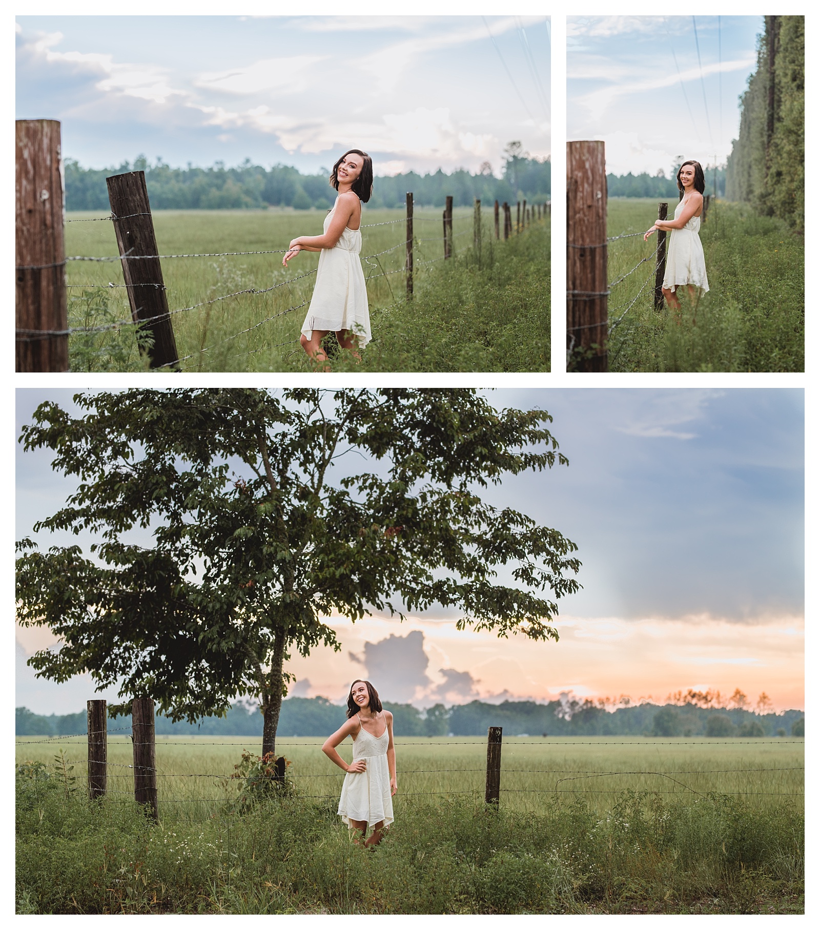 Southern field sunset senior photos by Shelly Williams Photography