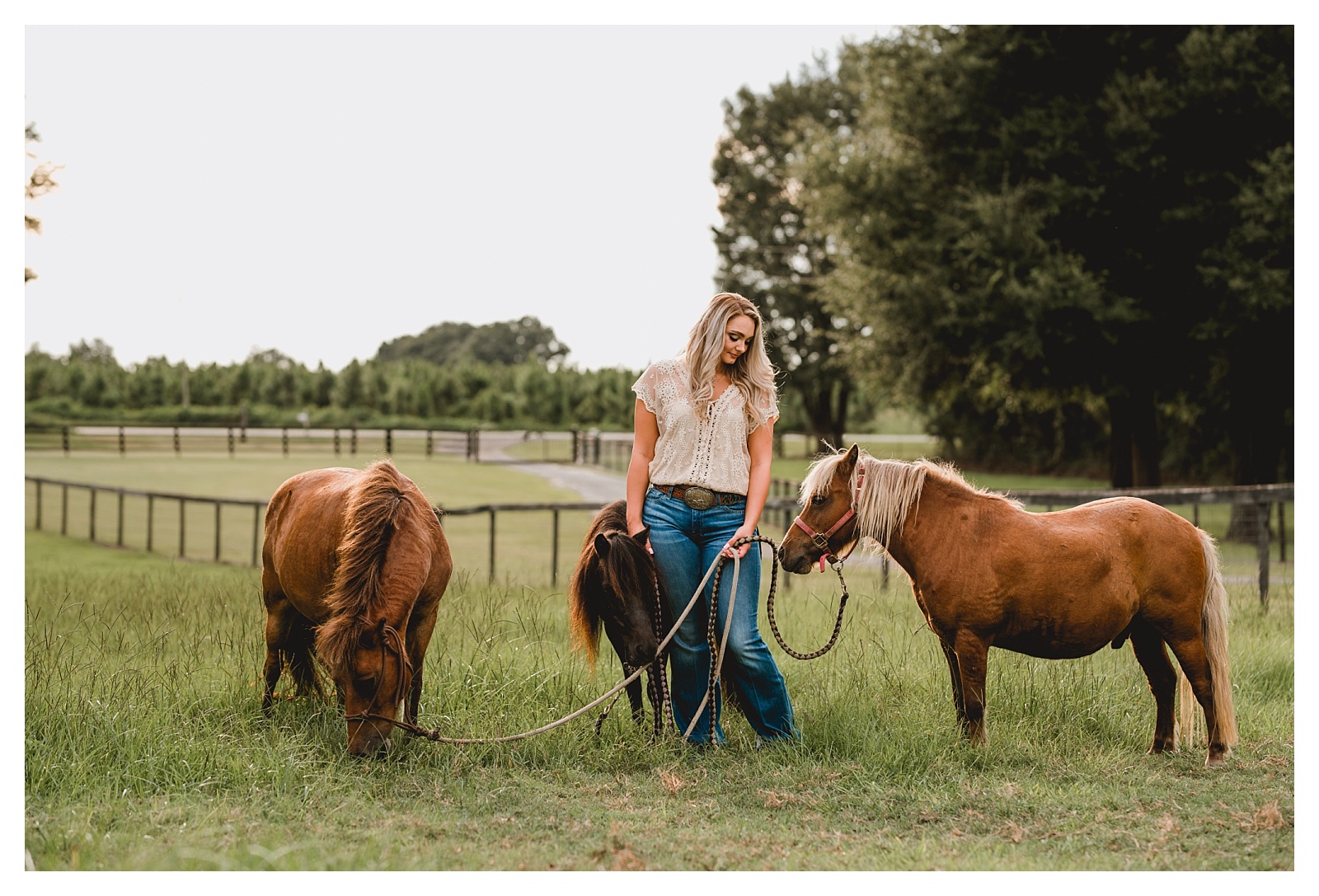 Horse portraits in Ocala, Florida. Horse and rider session by Shelly Williams Photography