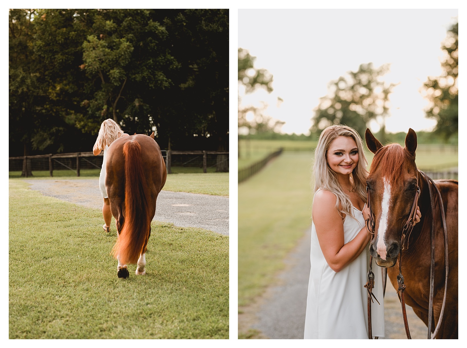 Equine portrait session in North Florida. Professional photography by Shelly Williams 