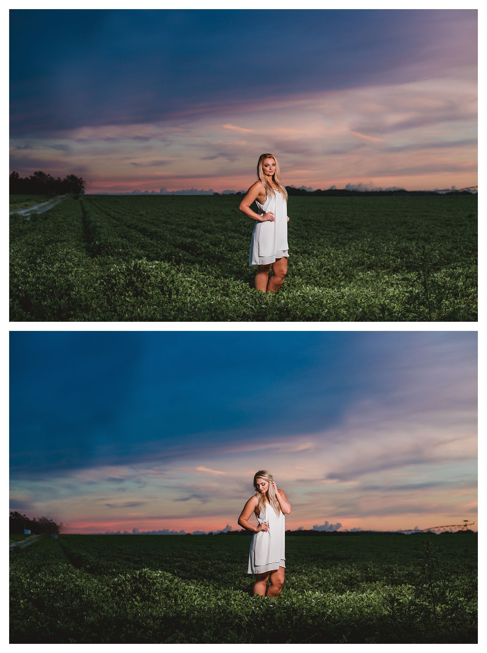 Sunset photos in peanut field in North Florida. Shelly Williams Photography