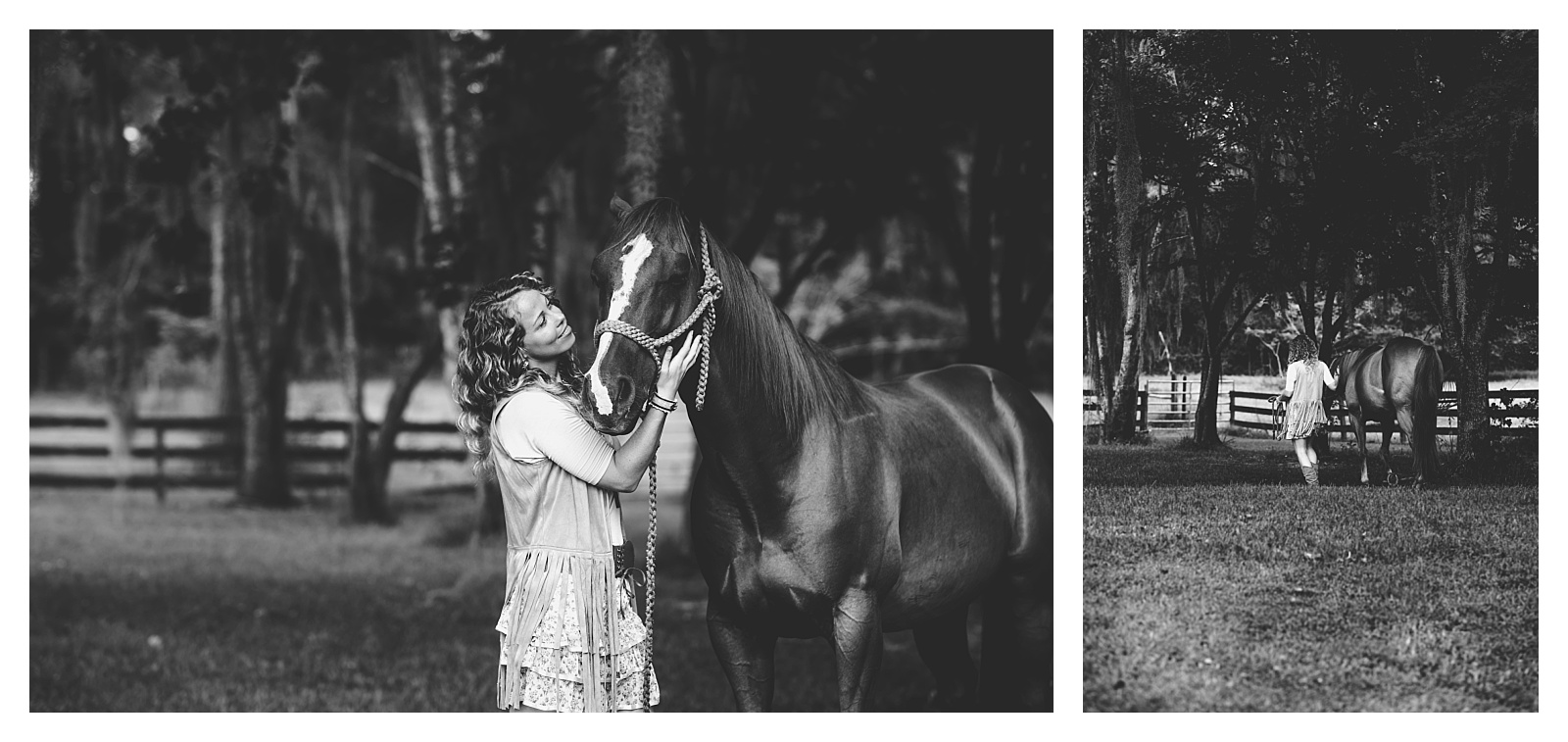 Barrel horses with their rider professional portraits in Ocala FL