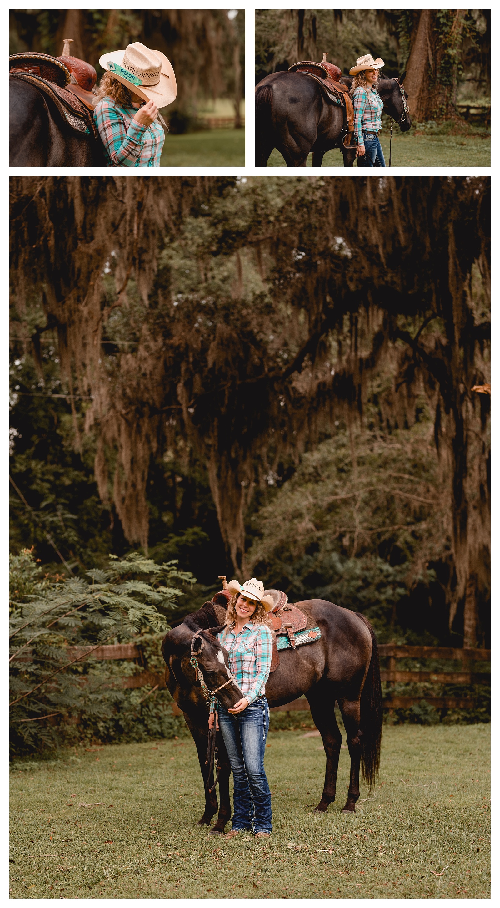Equestrian photography by Shelly Williams traveling from Tallahassee area to Ocala area and beyond. 