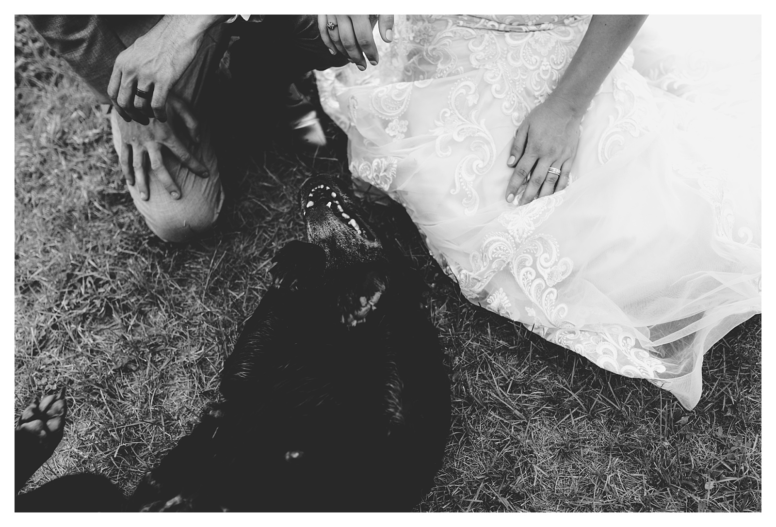 Wedding couple takes photos with their dog after the ceremony. Tallahassee documentation photographer, Shelly Williams Photography