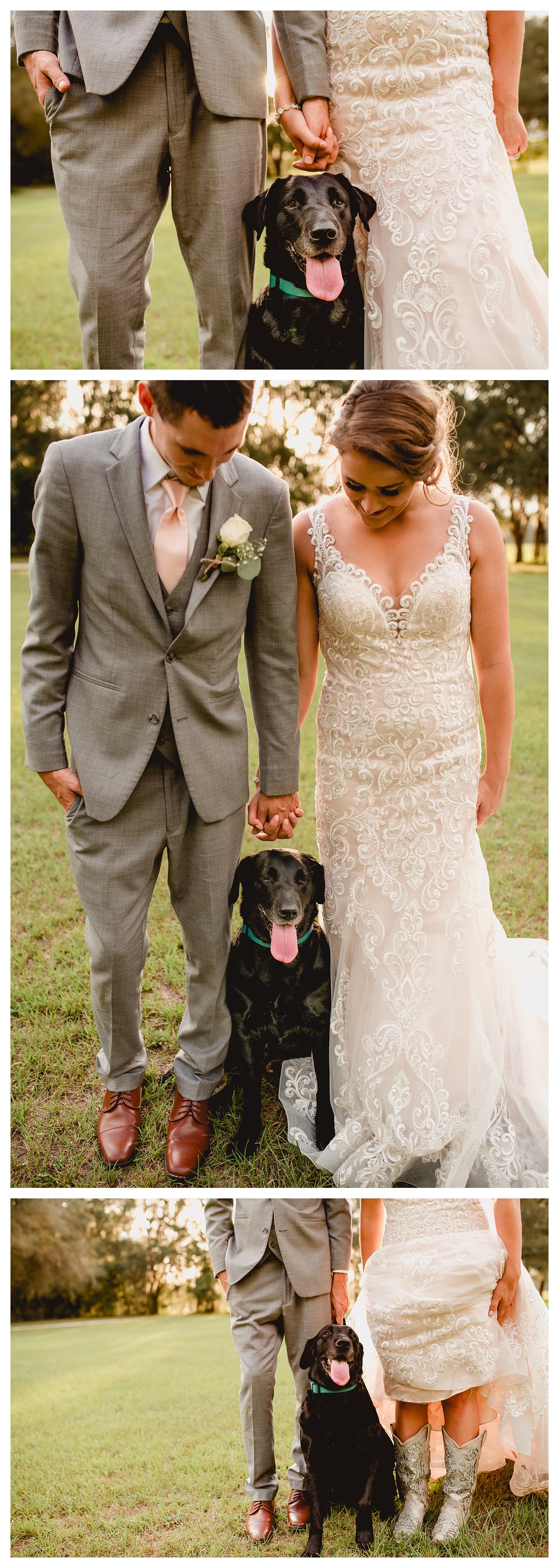 Southern wedding with dog, bride, and groom. Shelly Williams Photography
