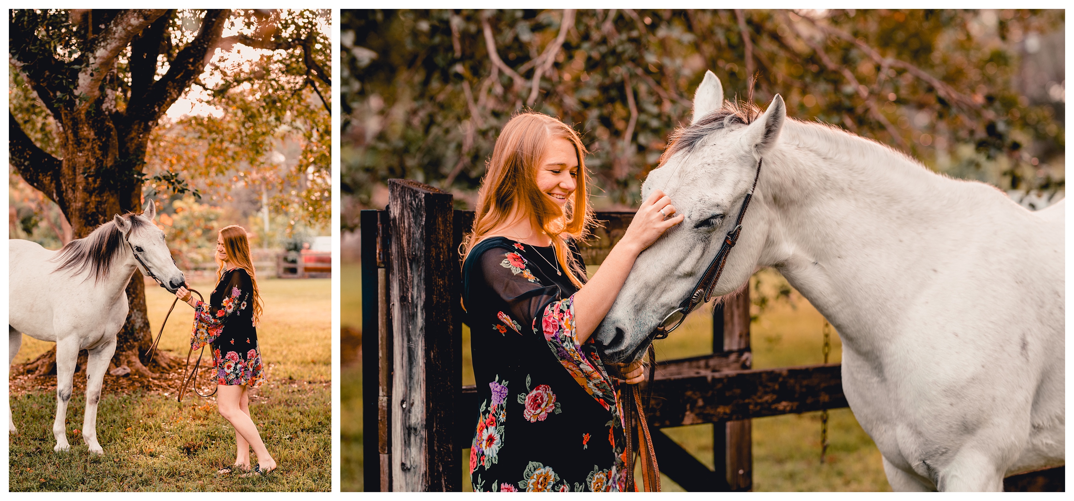 Pictures capturing the bond between horse and rider in Florida. Shelly Williams Photography
