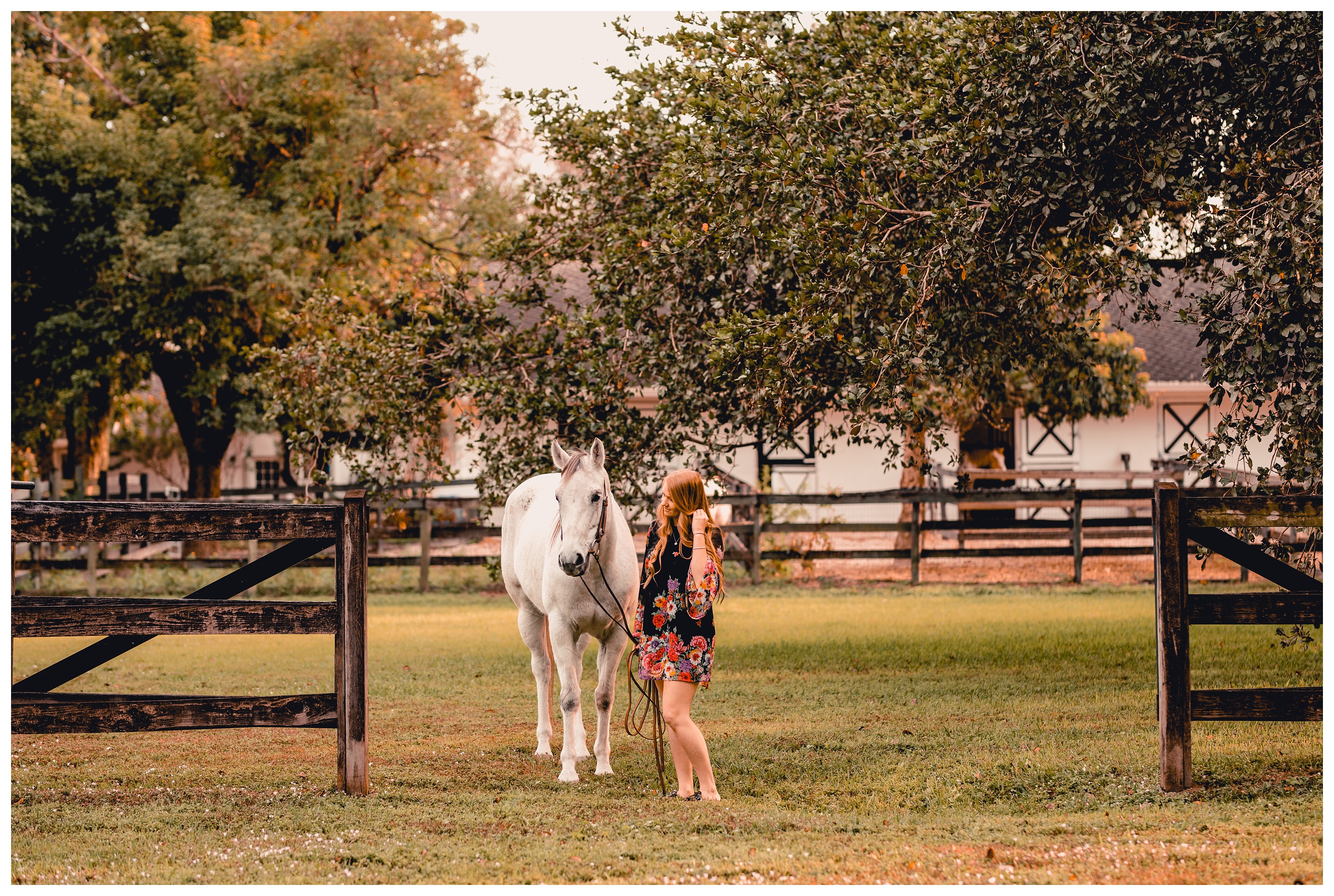 Golden hour photos of a horse and equestrian. Shelly Williams Photography