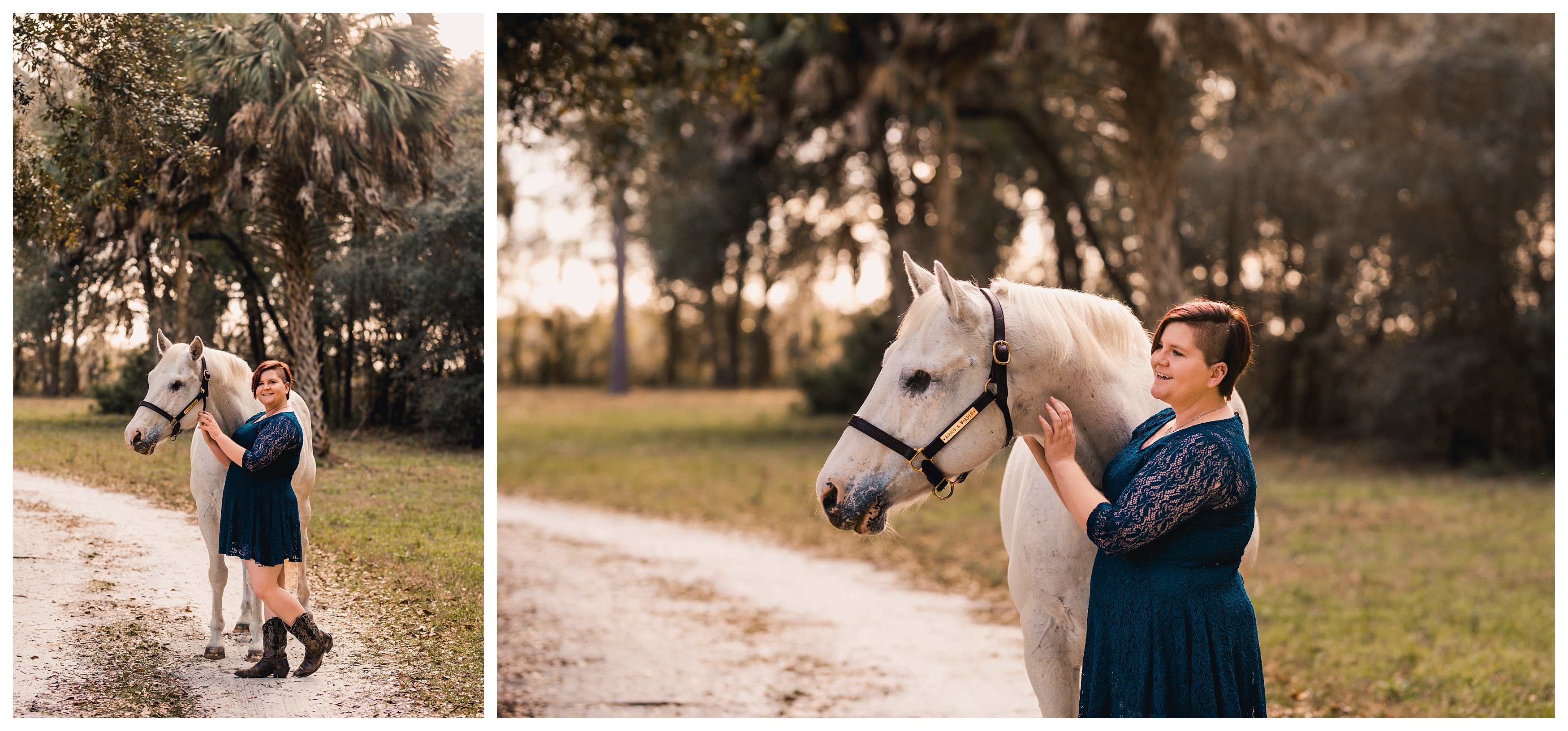 Ocala equine photographer takes pictures of blind horse. Shelly Williams Photography