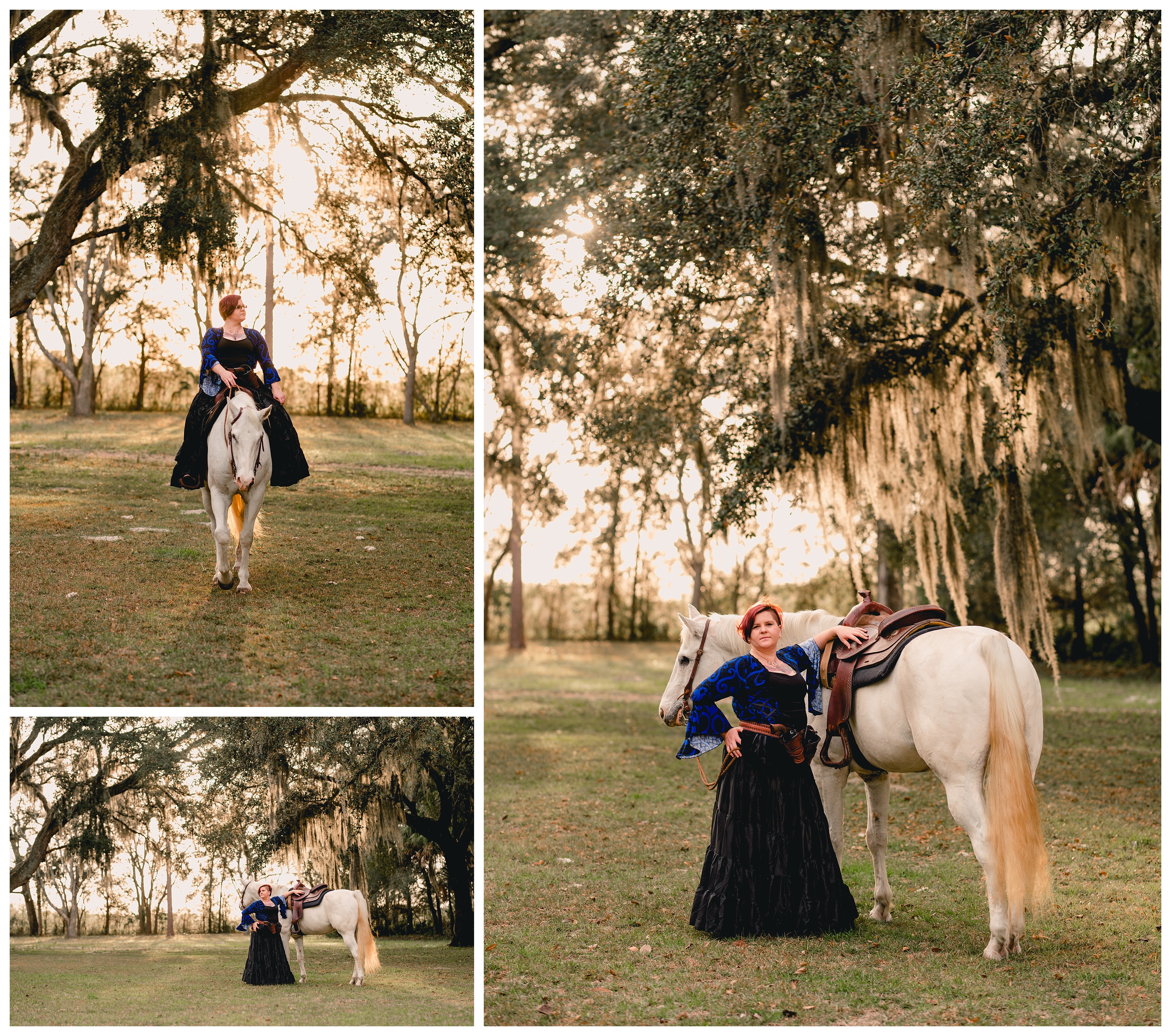 Oak trees and horse and rider pictures in Florida during sunset. Shelly Williams Photography
