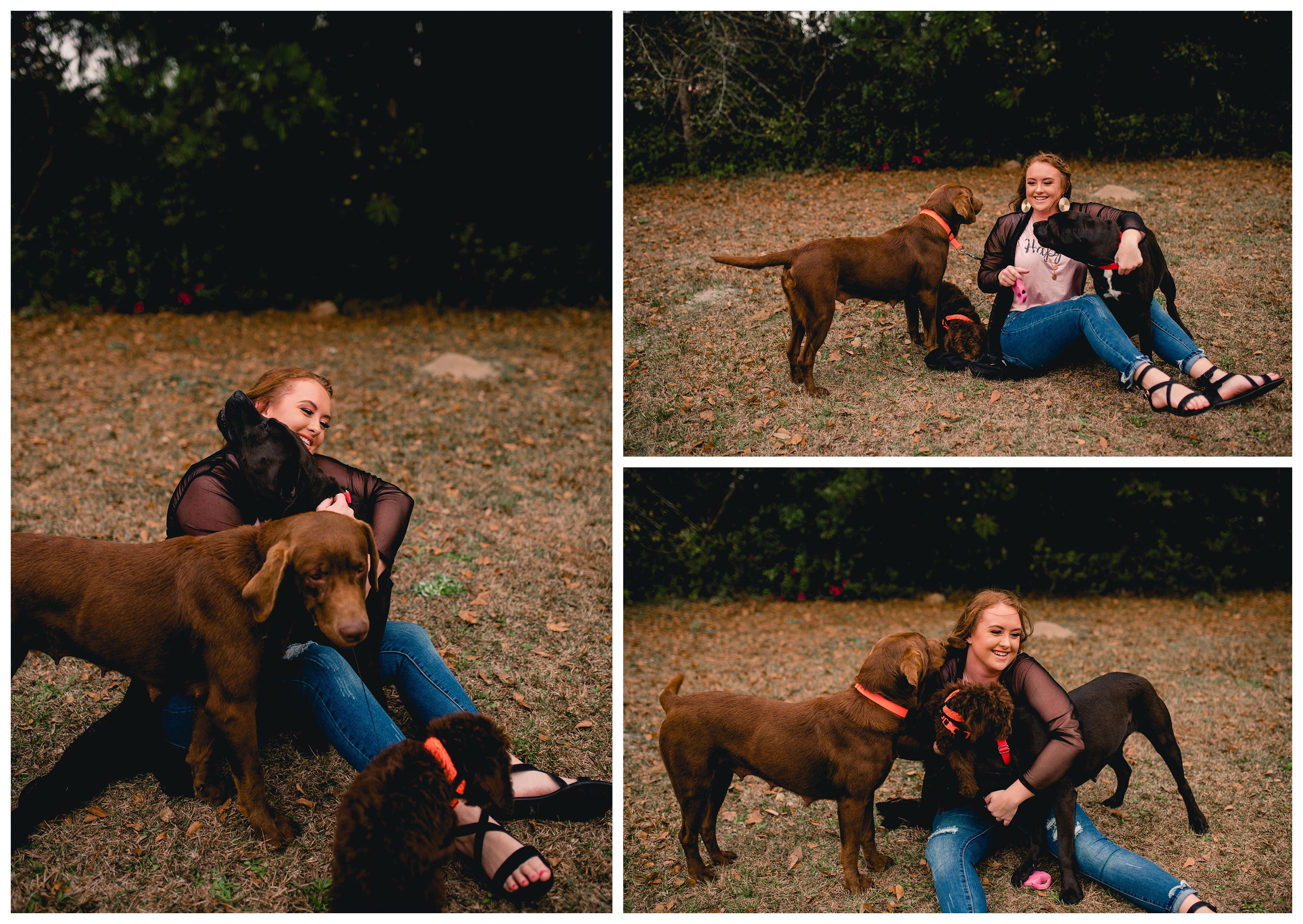 Senior girl photos of her playing with her dogs. Shelly Williams Photography