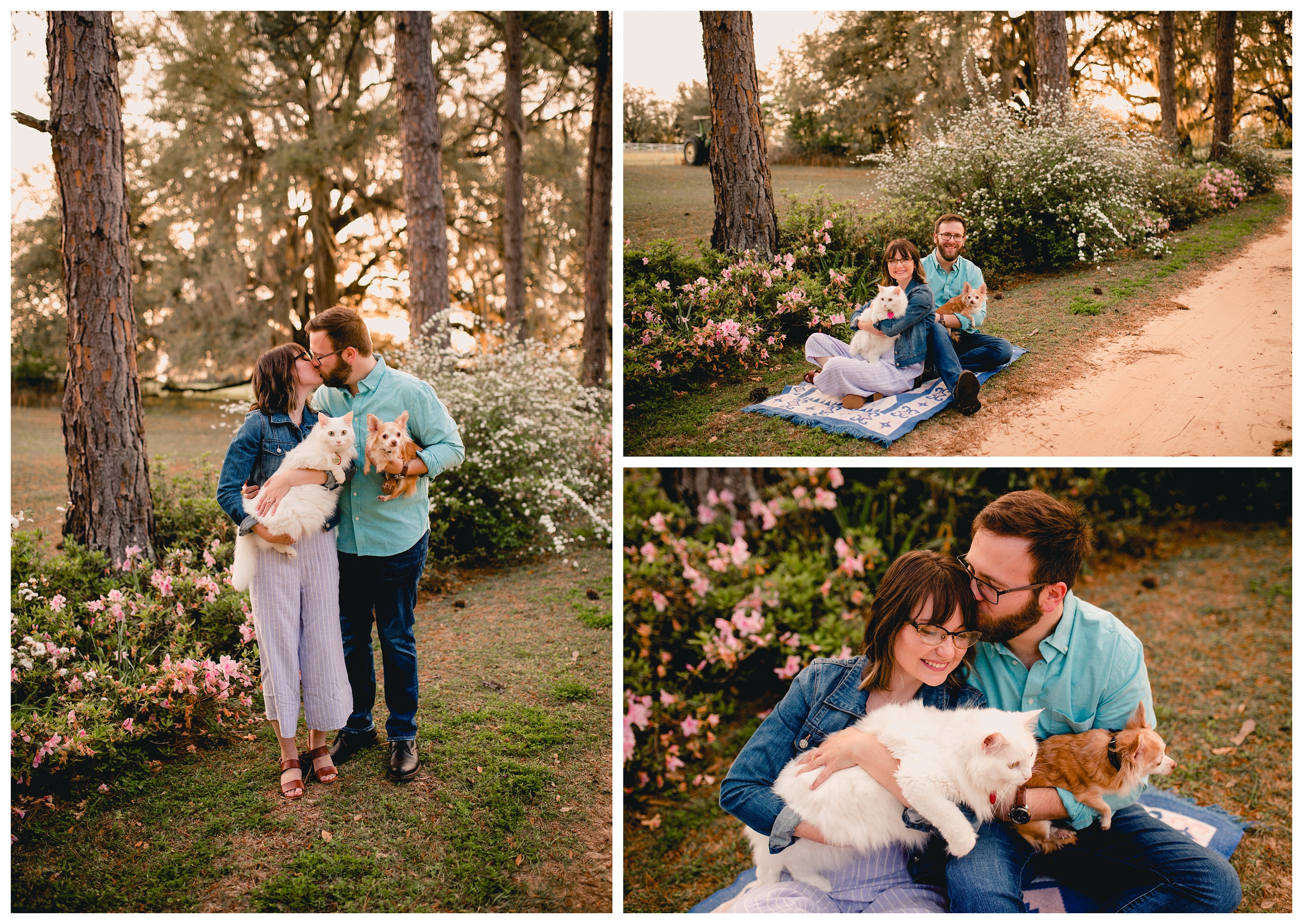 Tallahassee Pet photographer does photoshoot with engaged couple and their cat and dog. Shelly Williams photography