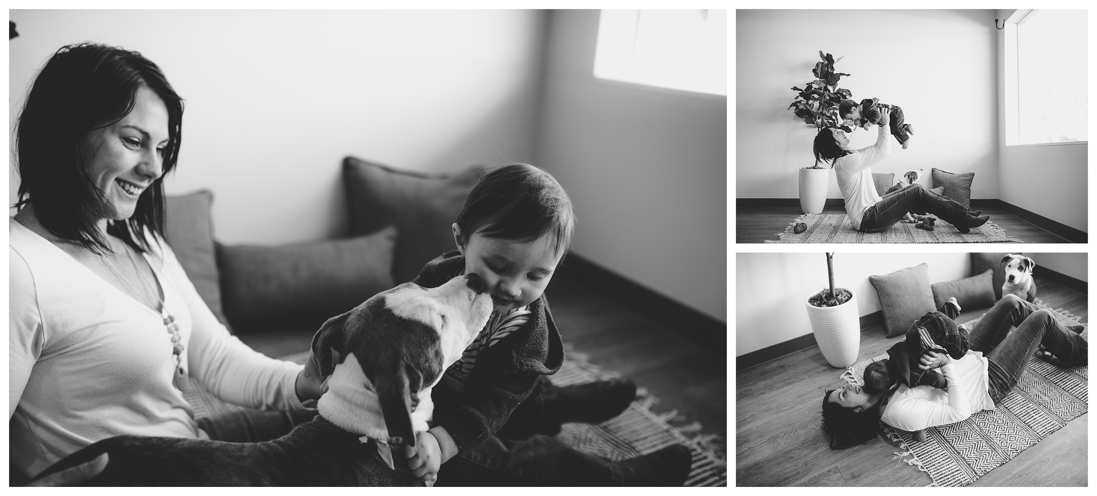Cute pictures of dog with a child taken by pet photographer in north Florida. Shelly Williams Photography