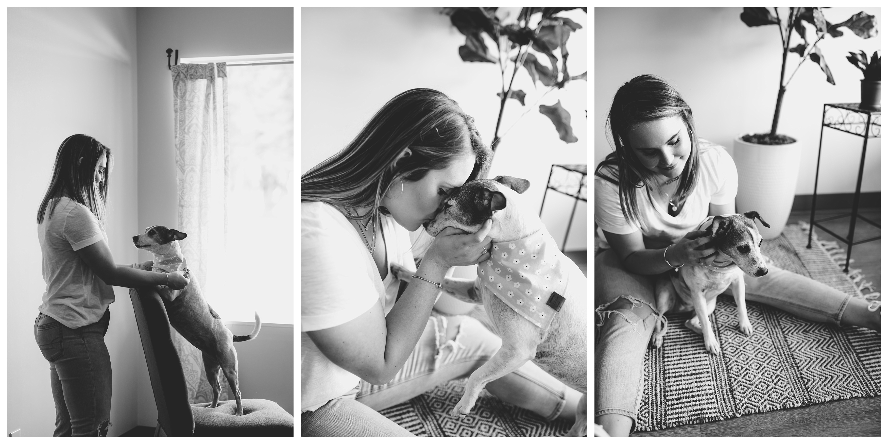 Intimate and meaningful black and white pet portraits. Shelly Williams Photography