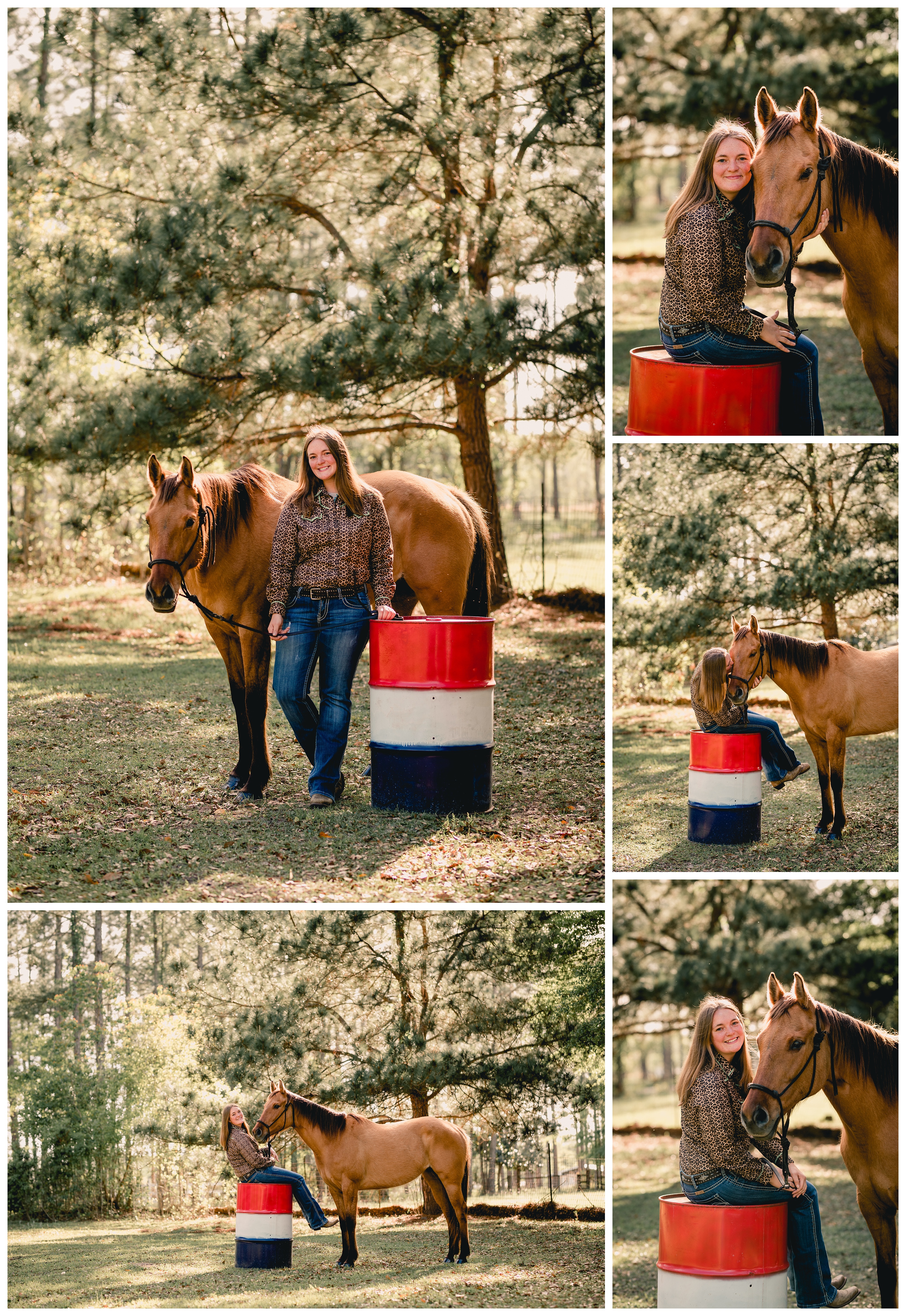 Barrel racing horse pictures in north Florida. Shelly Williams Photography