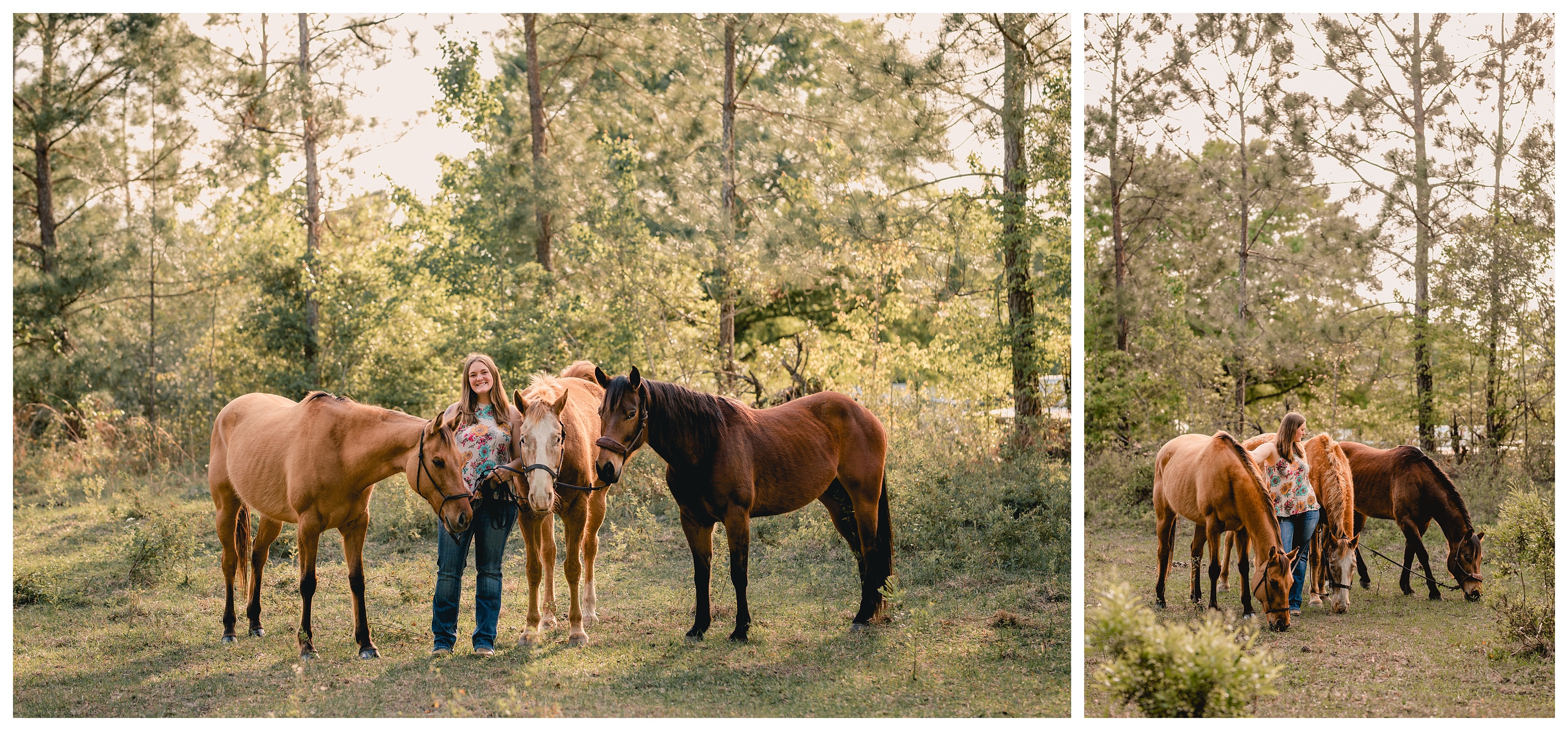 Horse photographer in north Florida takes pictures of multiple horses. Shelly Williams Photography