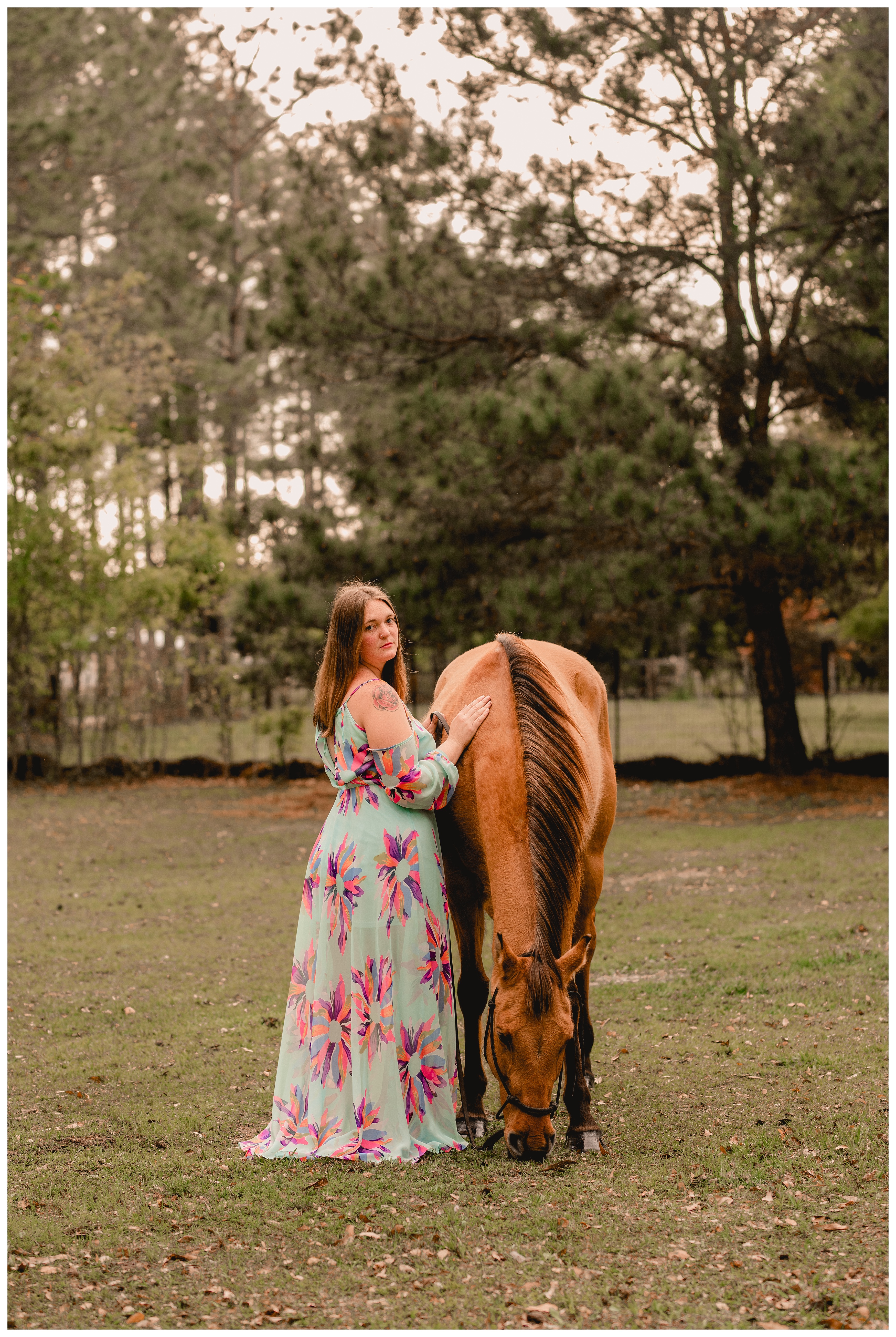 Florida horse photographer specializing in lifestyle and intimate moments between horse and rider. Shelly Williams Photography
