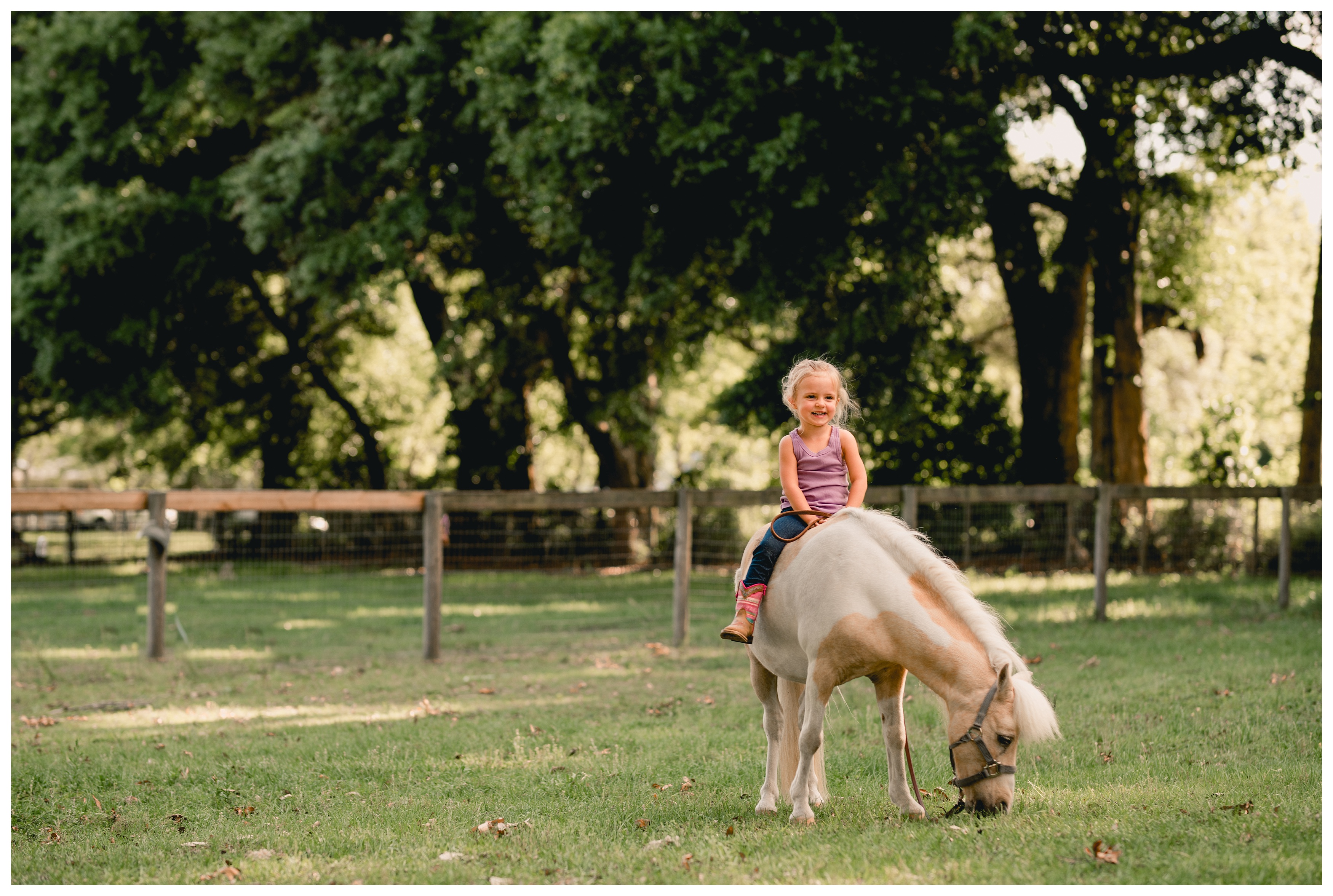 Little girl with her miniature pony in Gainesville, Florida taken by professional lifestyle equine photographer. Shelly Williams Photography