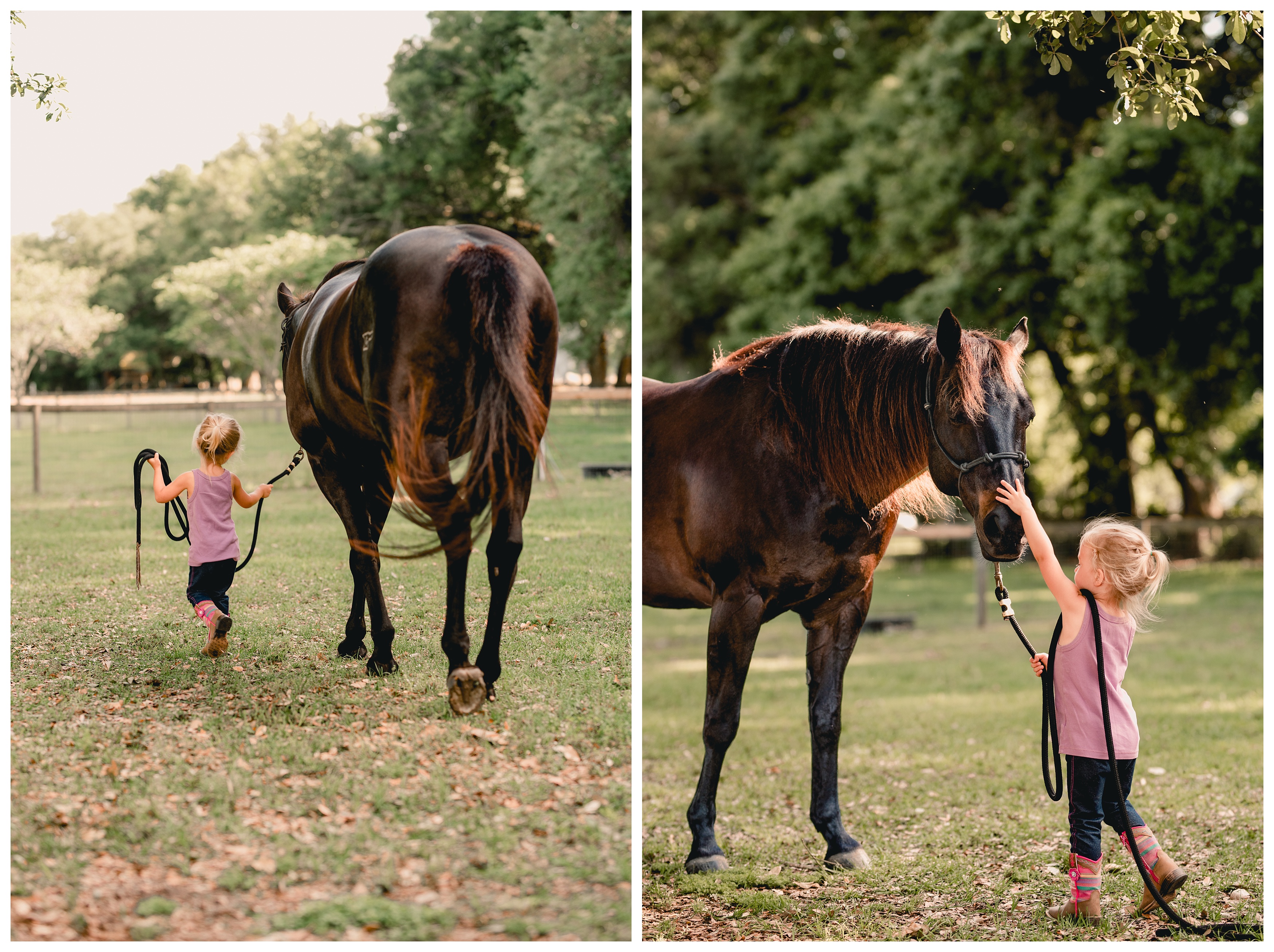 Little girl with her horse in Gainesville, florida has photos taken for her birthday. Shelly Williams Photography