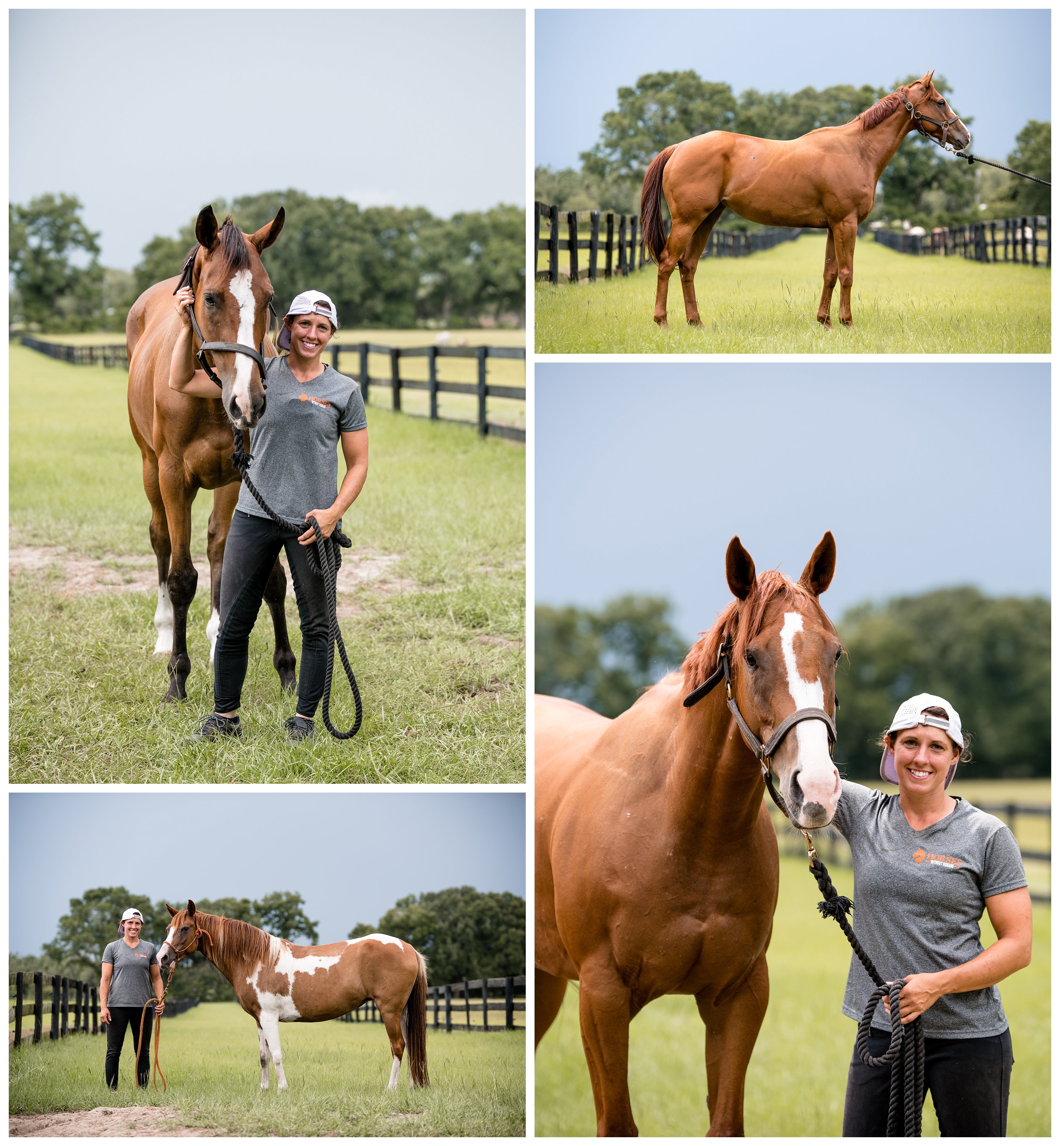 Photos of the horses available for adoption at the Horses Without Humans rescue. Shelly Williams Photography