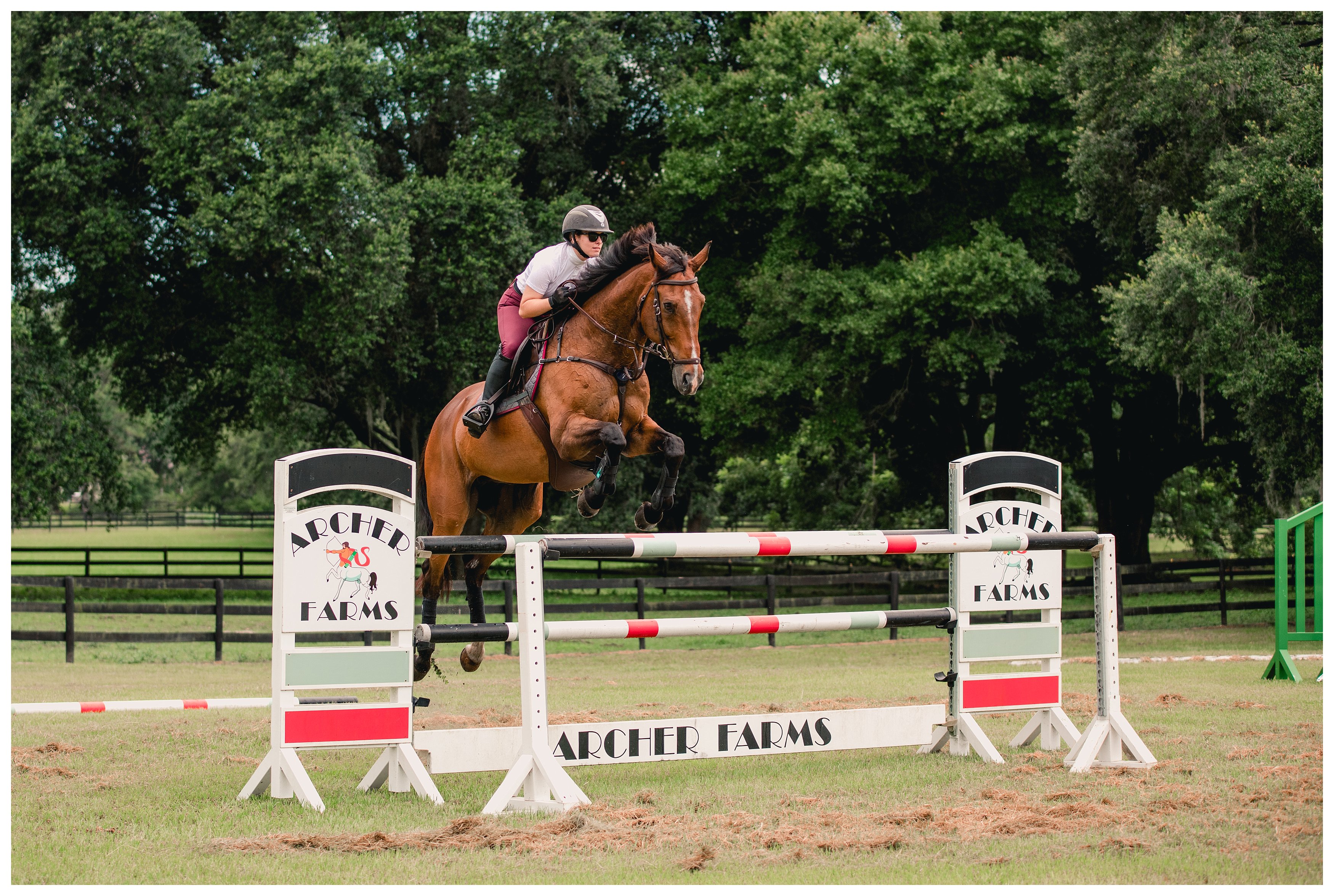 Horse show barn in Gainesville specializes in lessons, training, and boarding. Archer Farms, LLC
