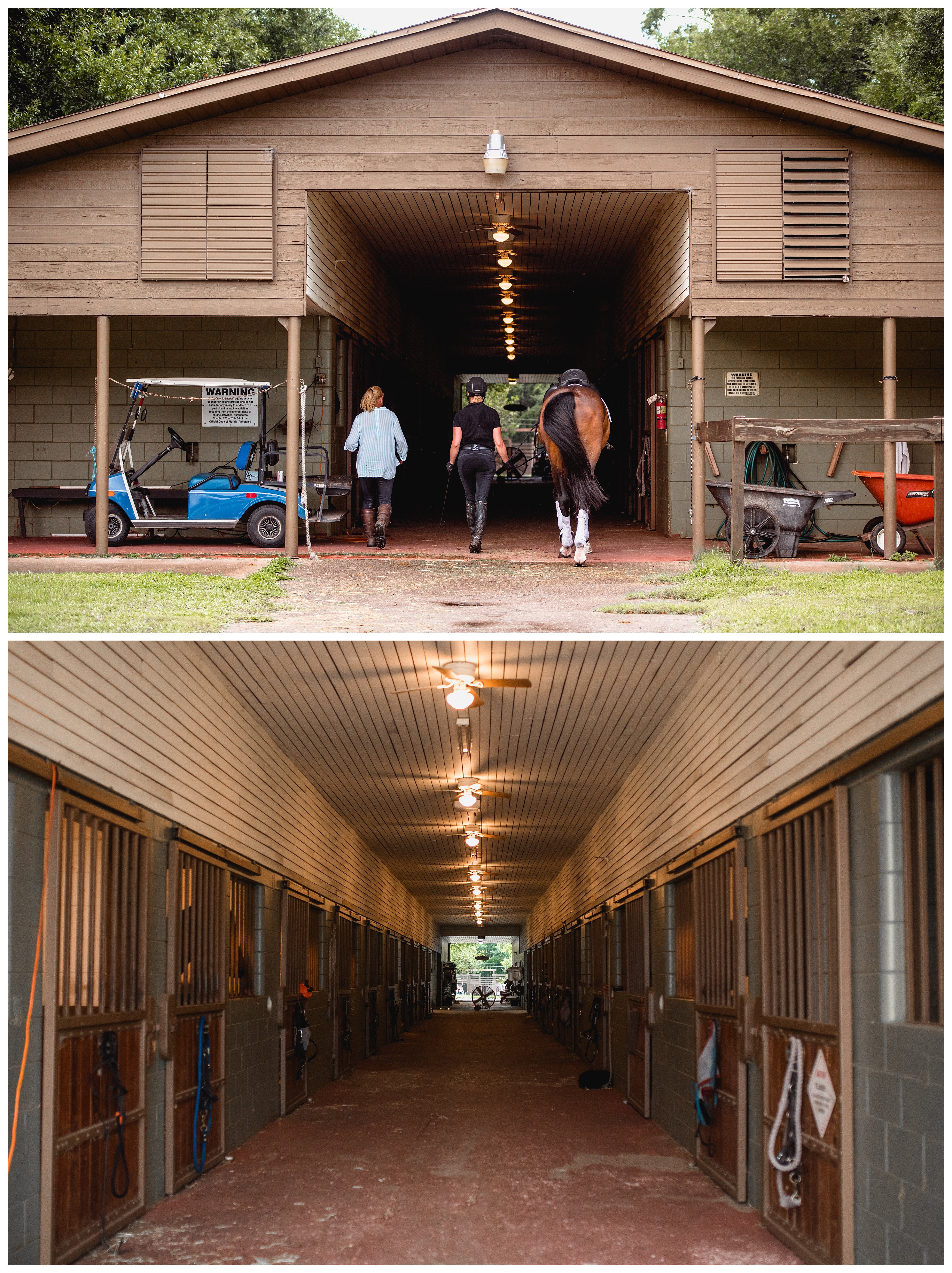 KYB Dressage horse barn specializing in training and sales, family owned and ran.