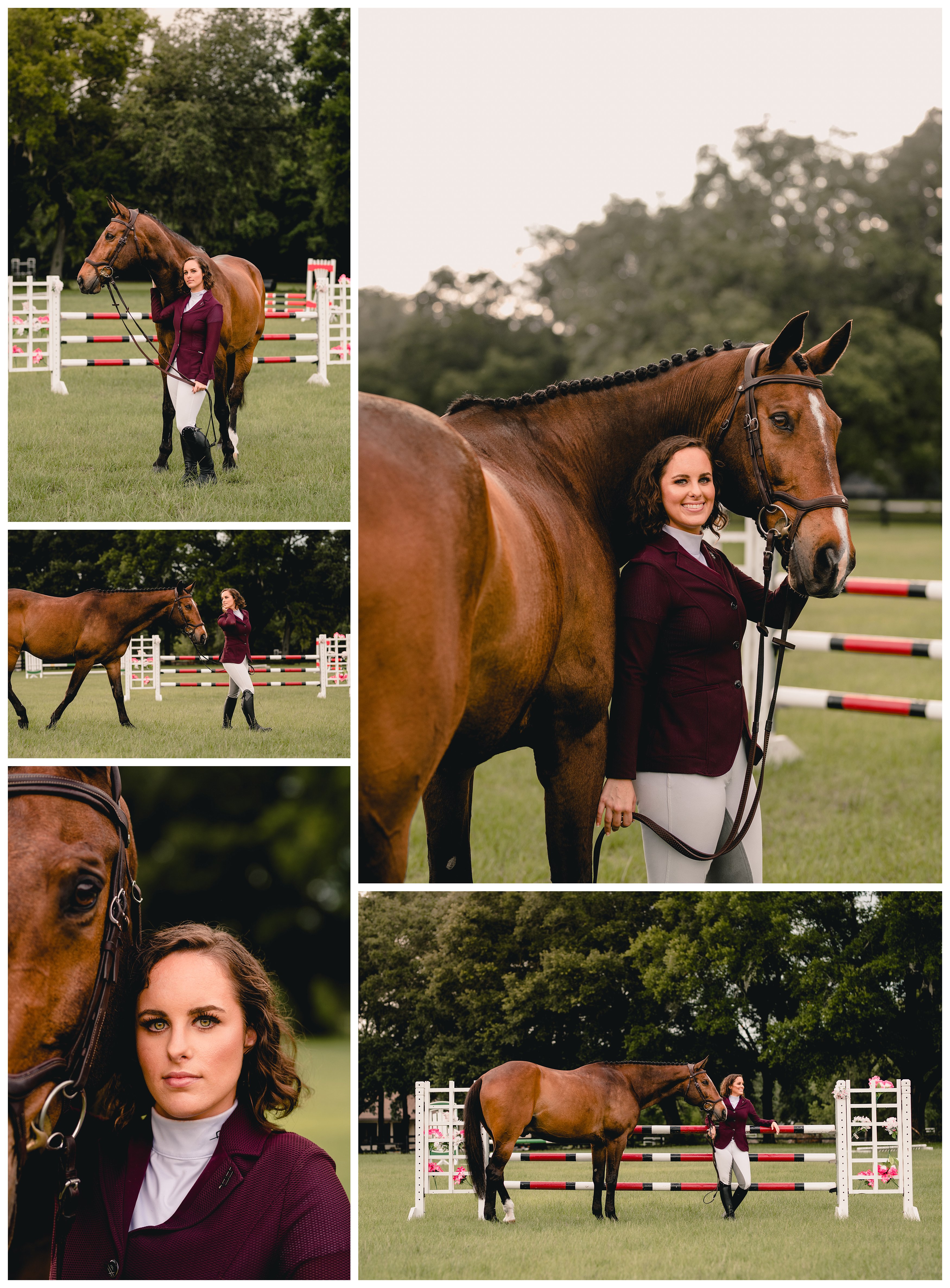 Professional equine photographer in Florida takes lifestyle photos of jumper horse and rider.
