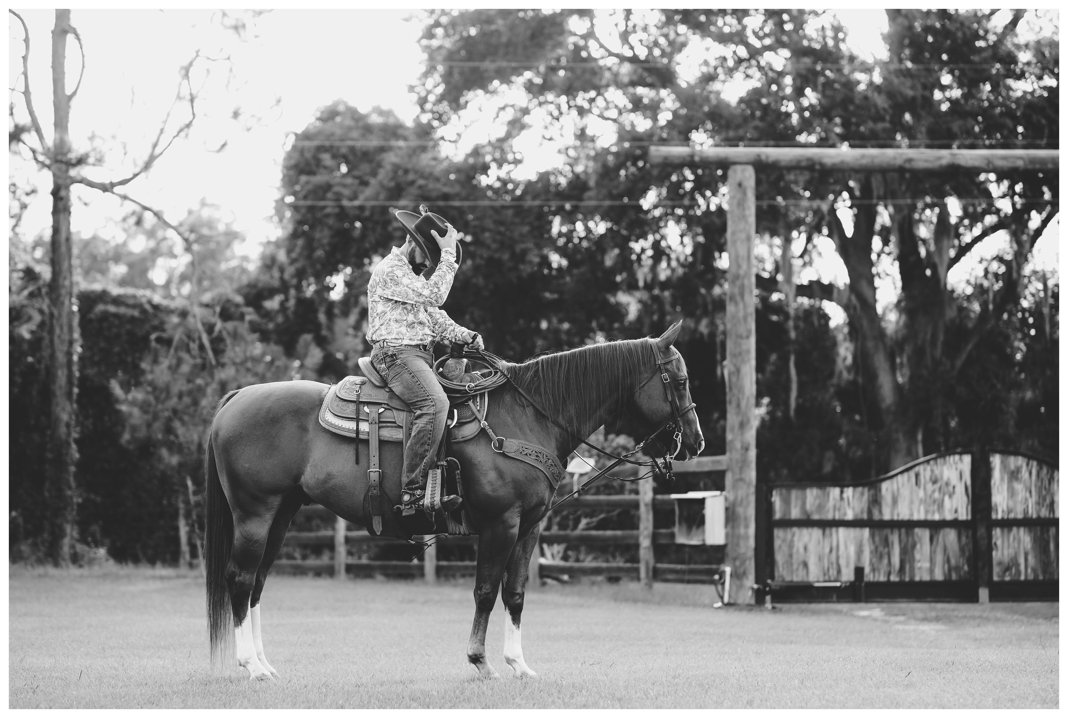 Black and white photo of a cowboy riding his roping horse in Gainesville, FL.