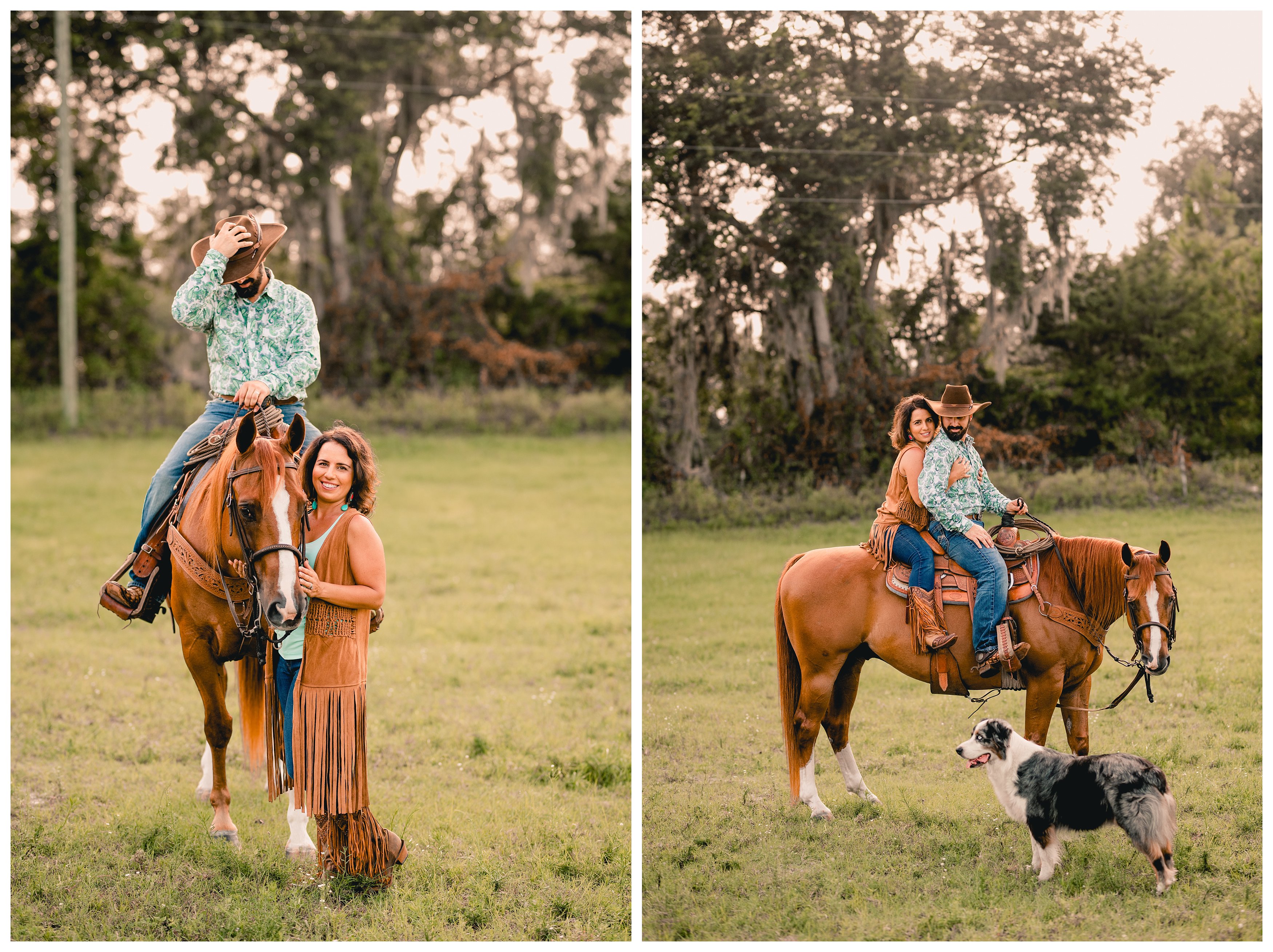 Couple photos taken with horse and dog on a ranch in Gainesville, FL.