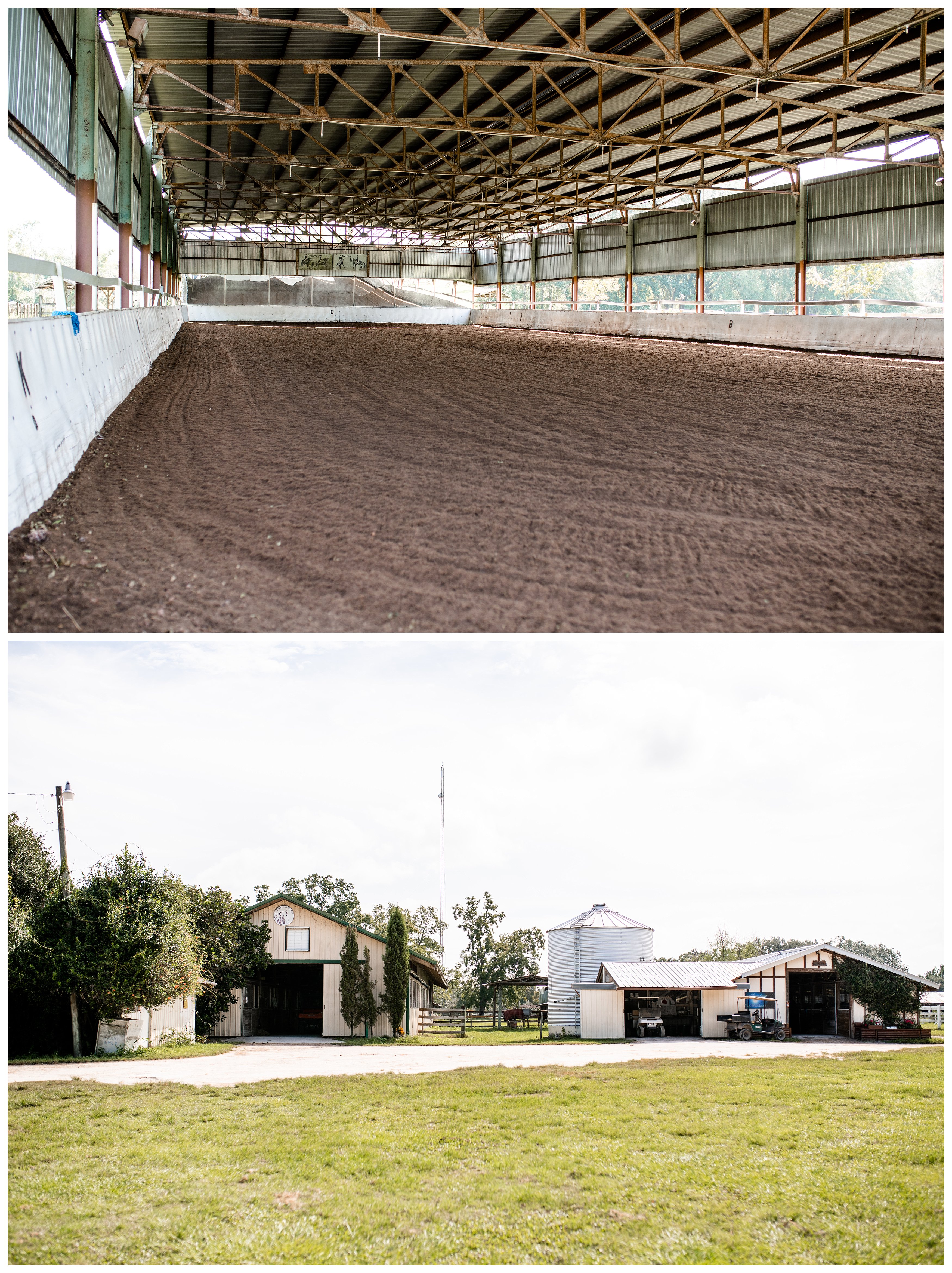 Dressage horse barn in Wellborn, FL offers Trakehners for sale, training, and breeding.