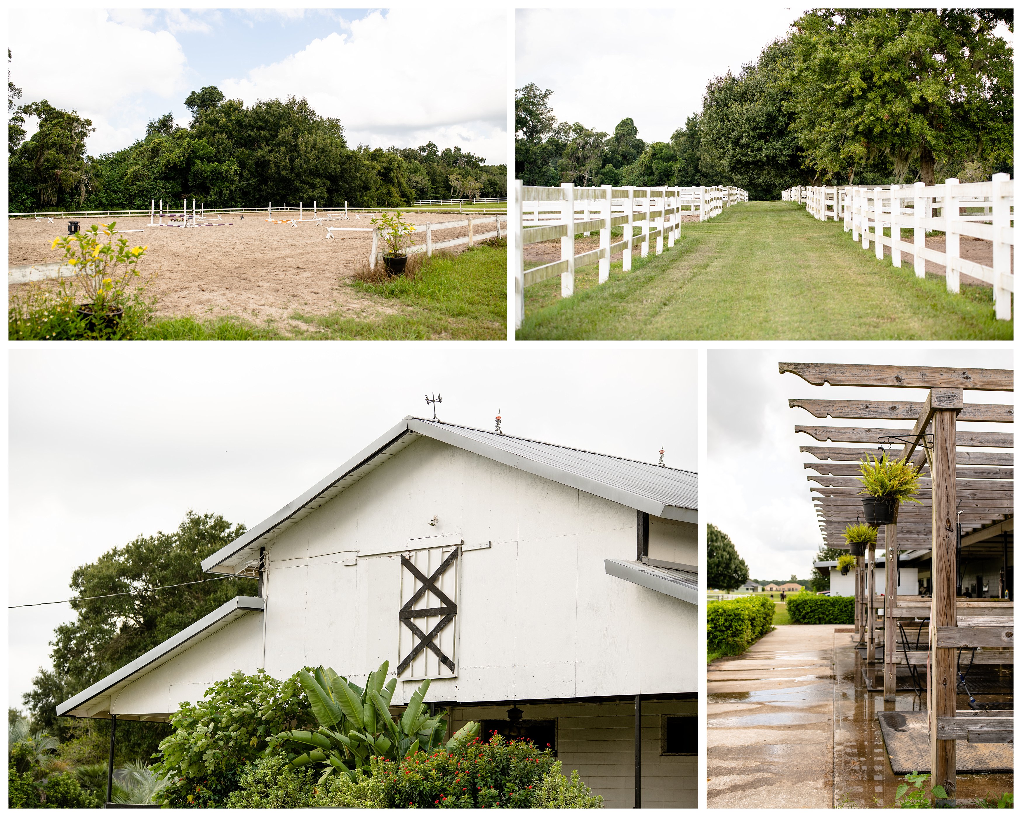Professional barn in Ocala that offers boarding, training, sales, and showing.
