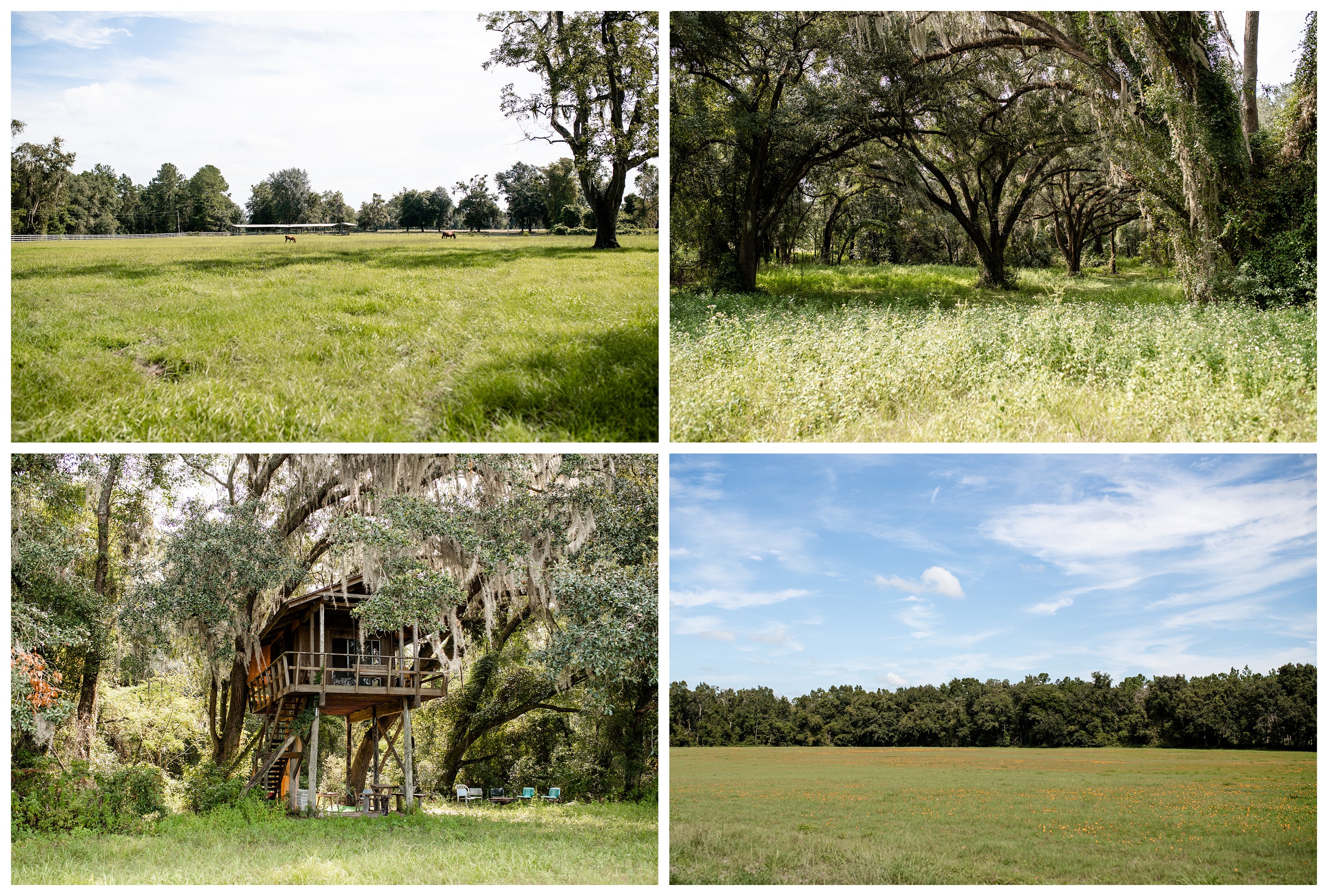 The beautiful property of Valhalla Farm is perfect for trail riding horses.