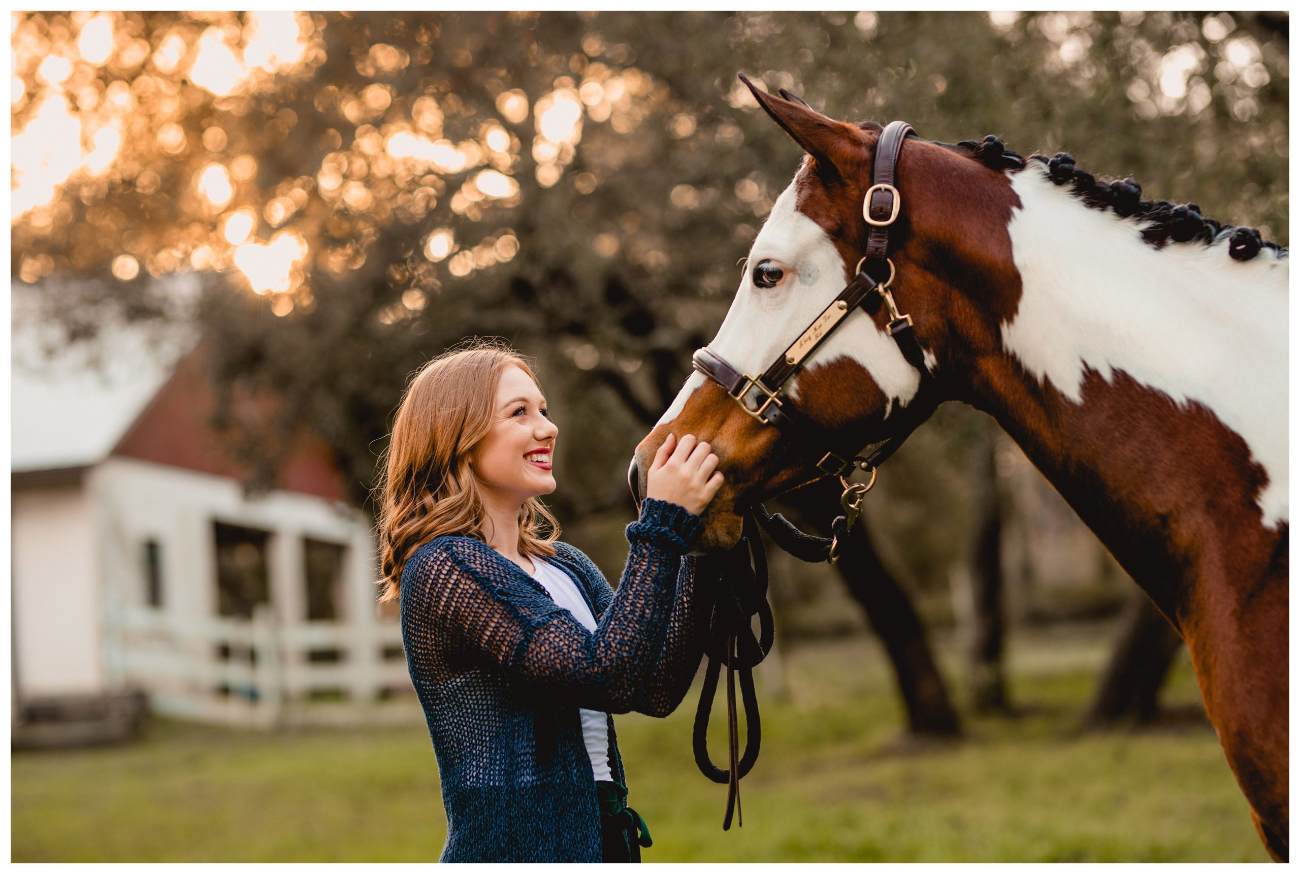 Top portrait favorites in 2019 by north florida professional equine photographer