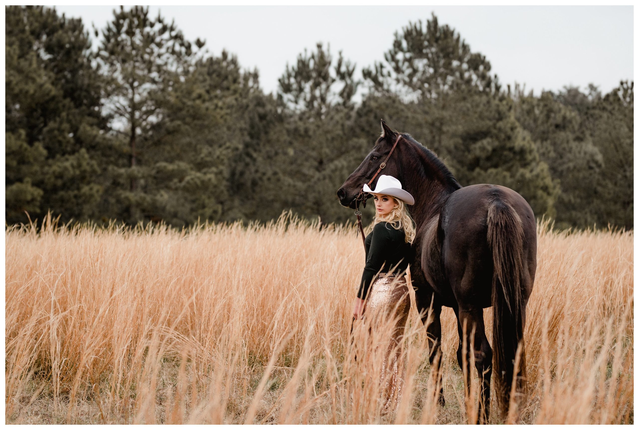 Equine Photography in FL at beautiful field at boarding barn in Gainesville.