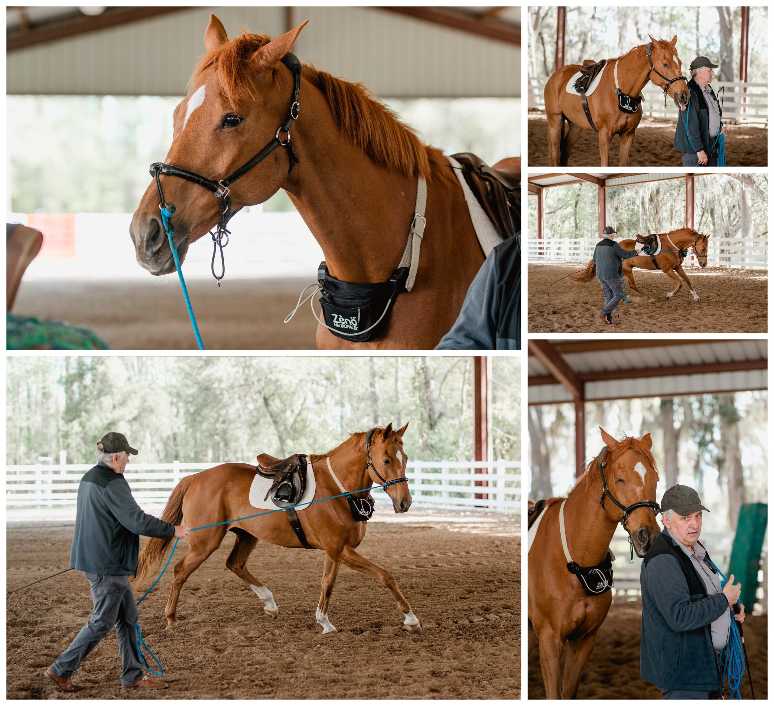Florida equine photographer takes photos of JP Giacomini training clinic in North Florida.