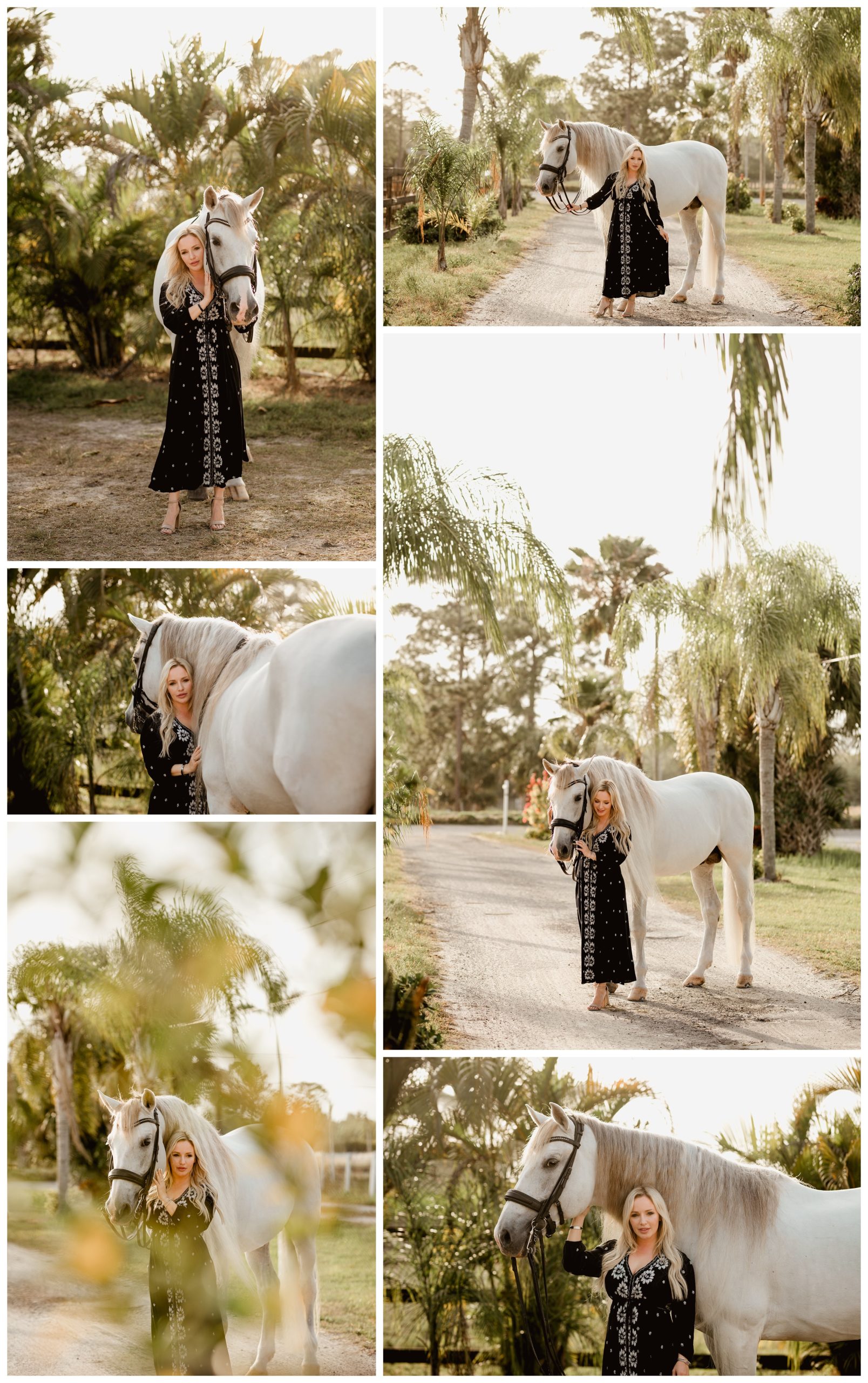Horse and rider photographer in Wellington, FL