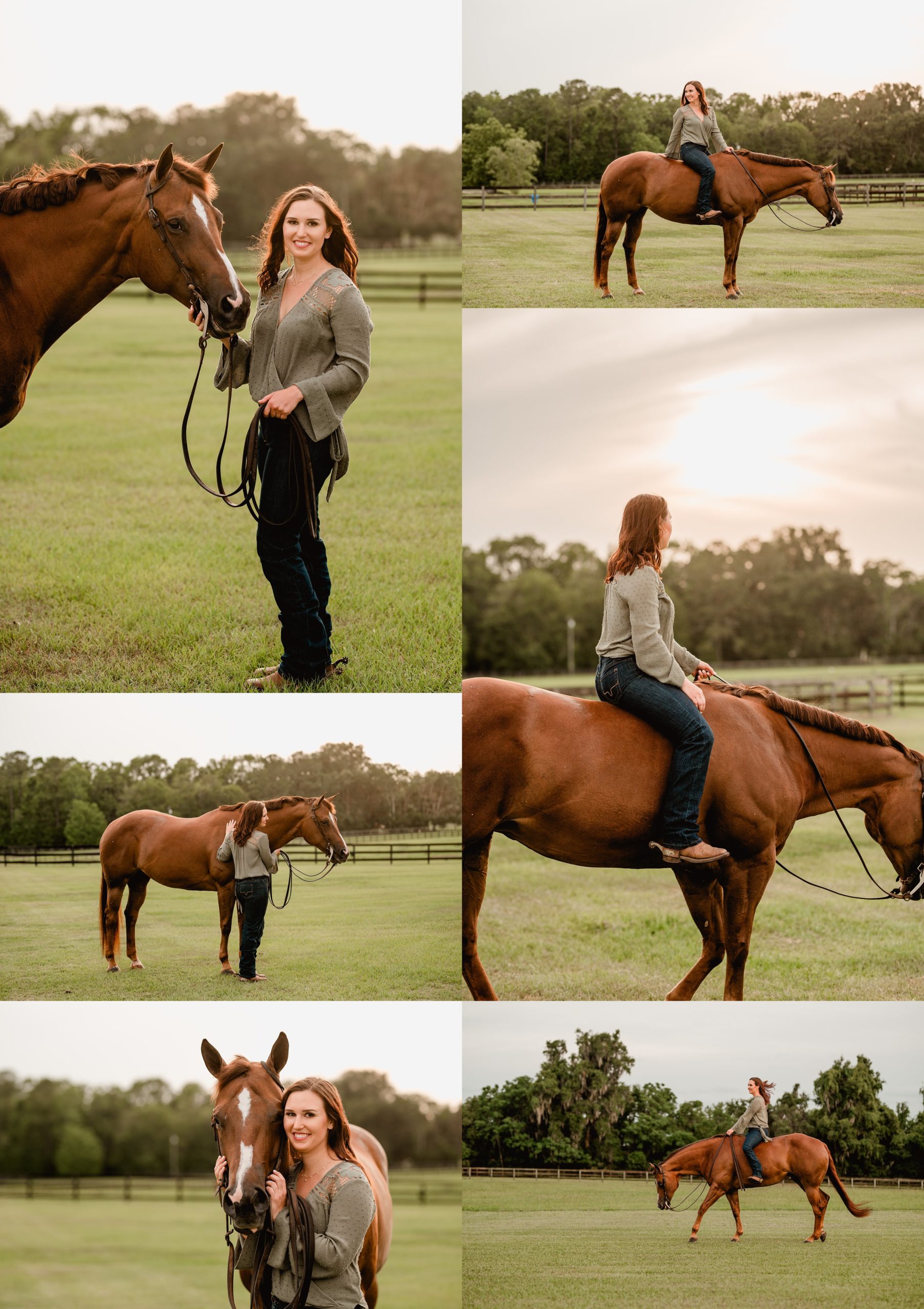 North florida horse photographer specializing in horse and rider candids