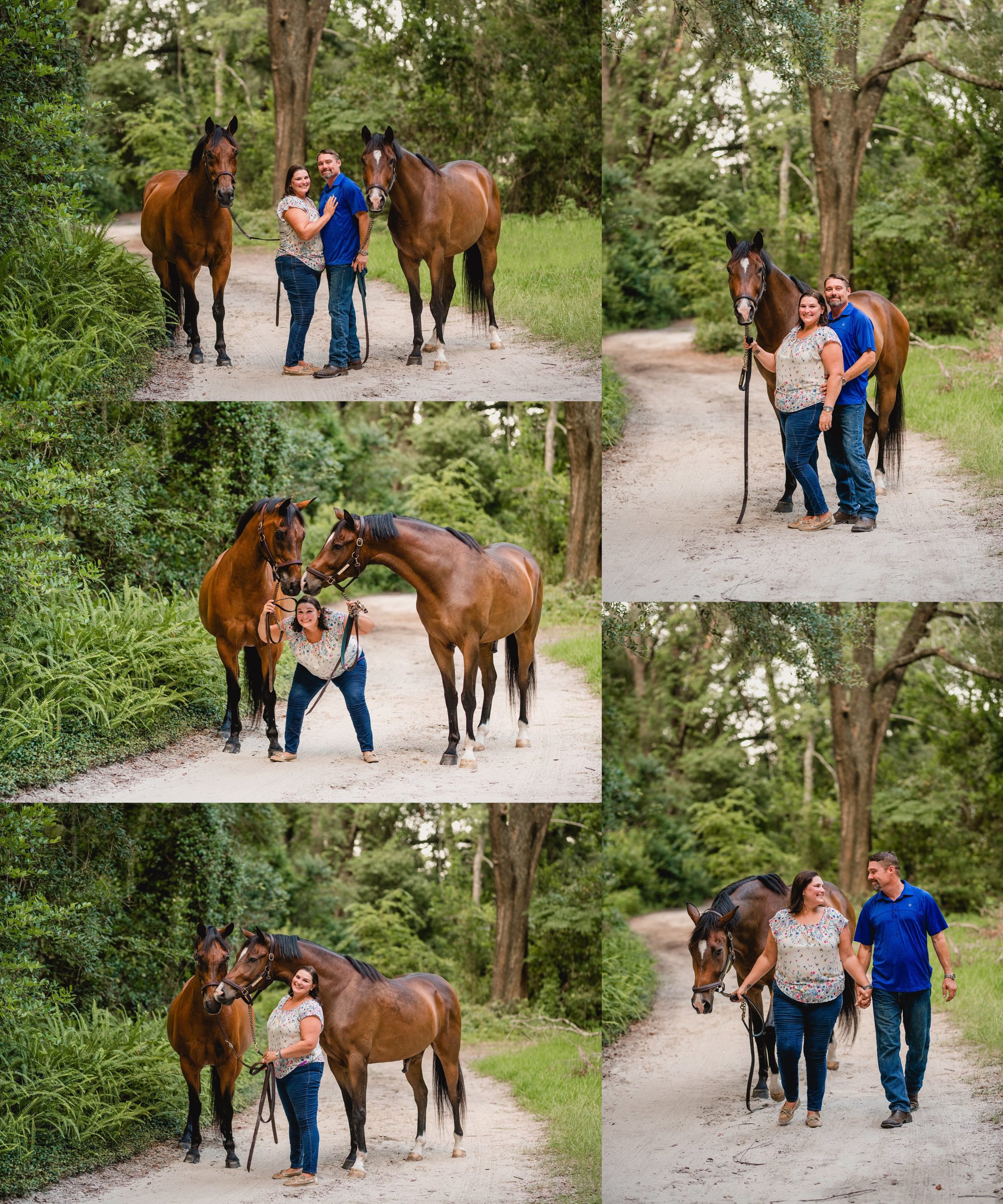 Couples photographer and equine photographer in Gainesville, FL.