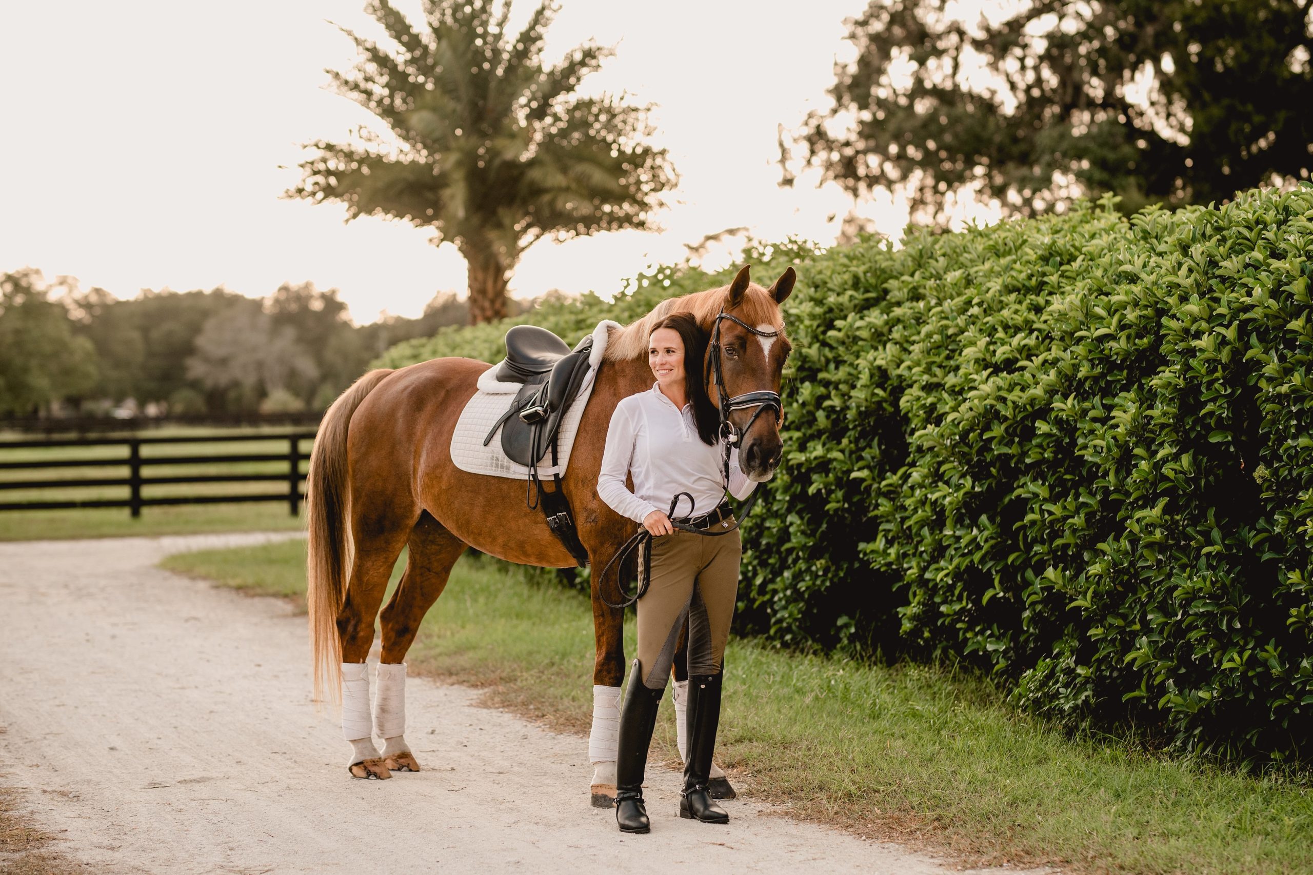 Dressage horse and rider portraits in Ocala, FL.