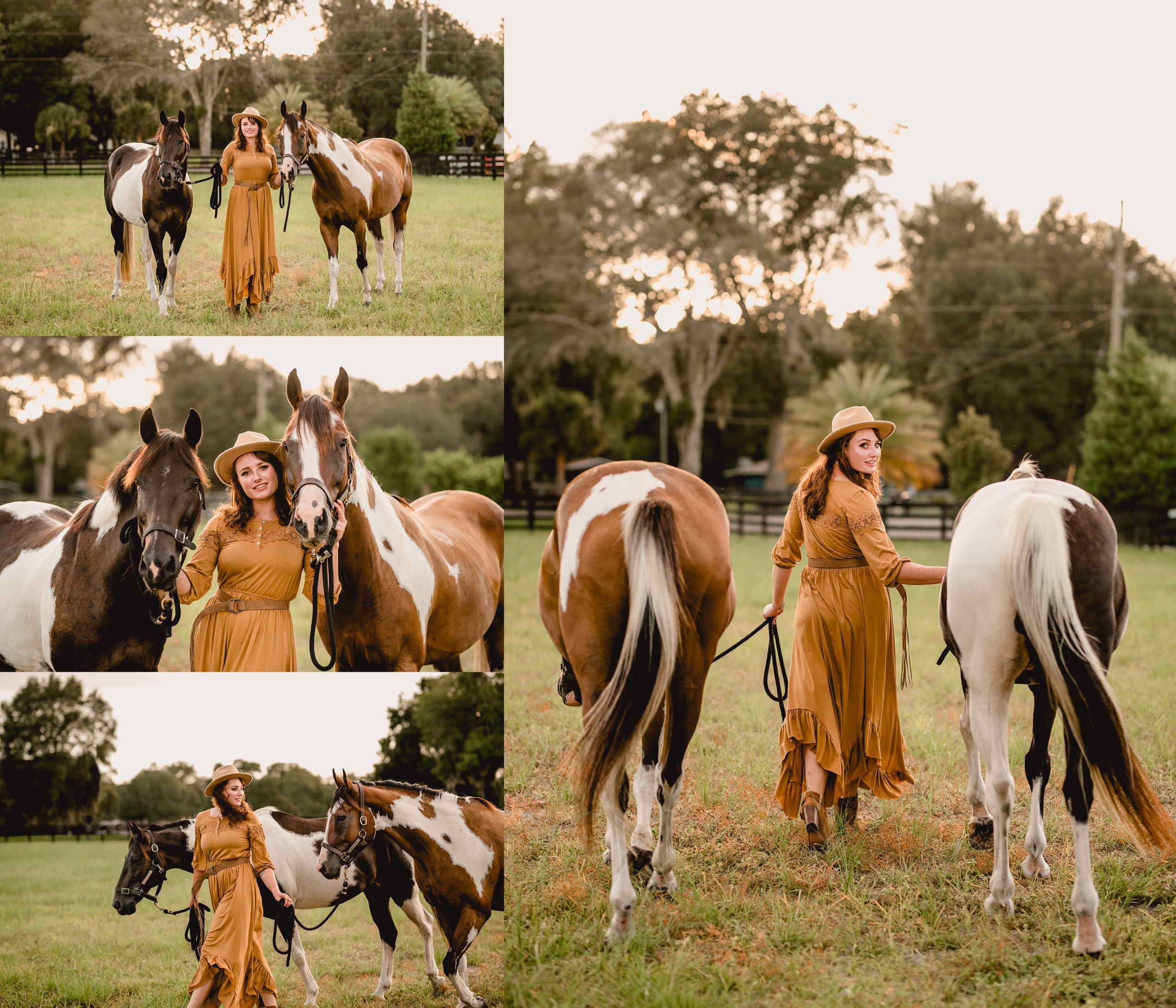 American Paint Horses portrait session with rider wearing a dress.