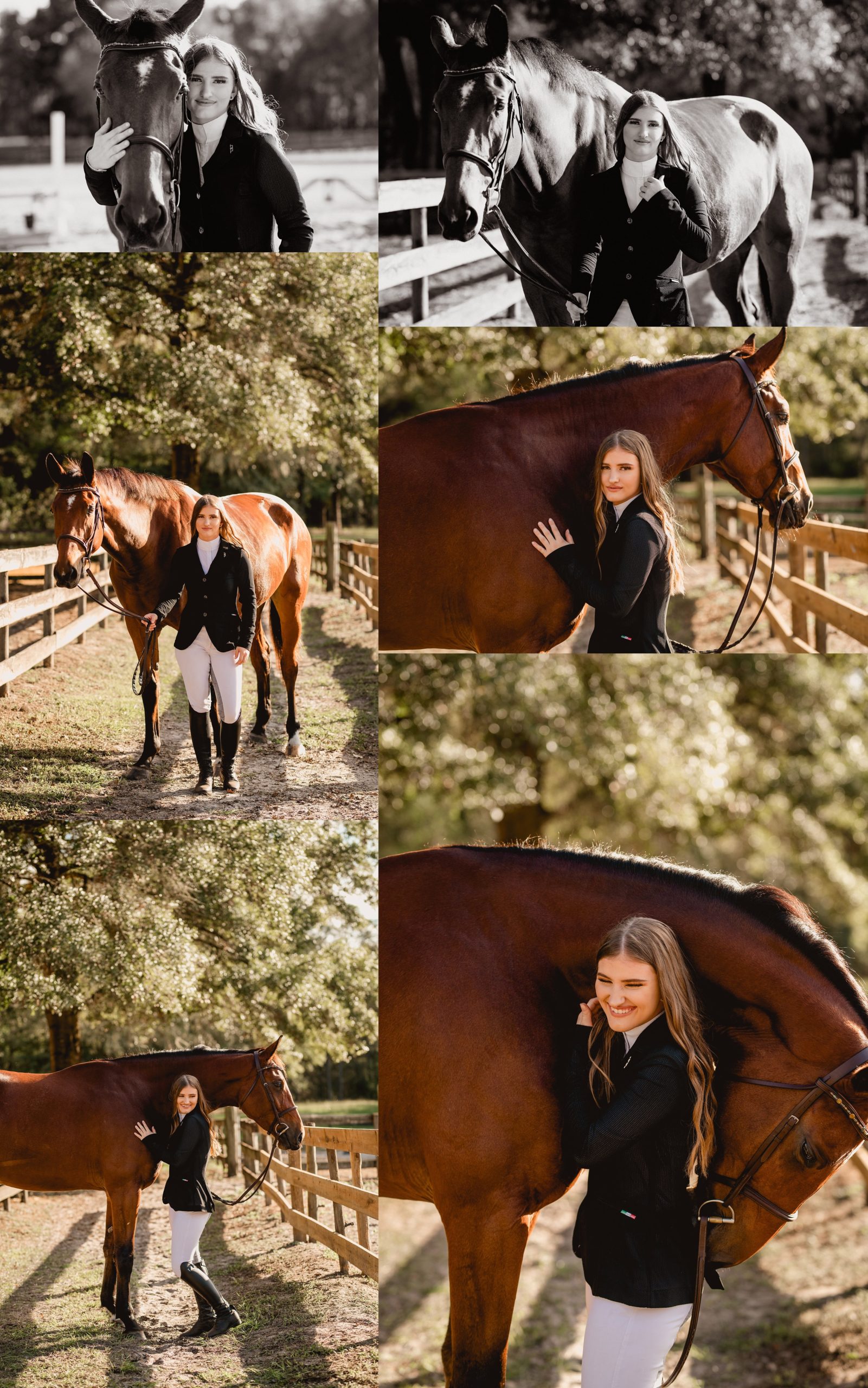 High school senior takes pictures with her Warmblood horse.