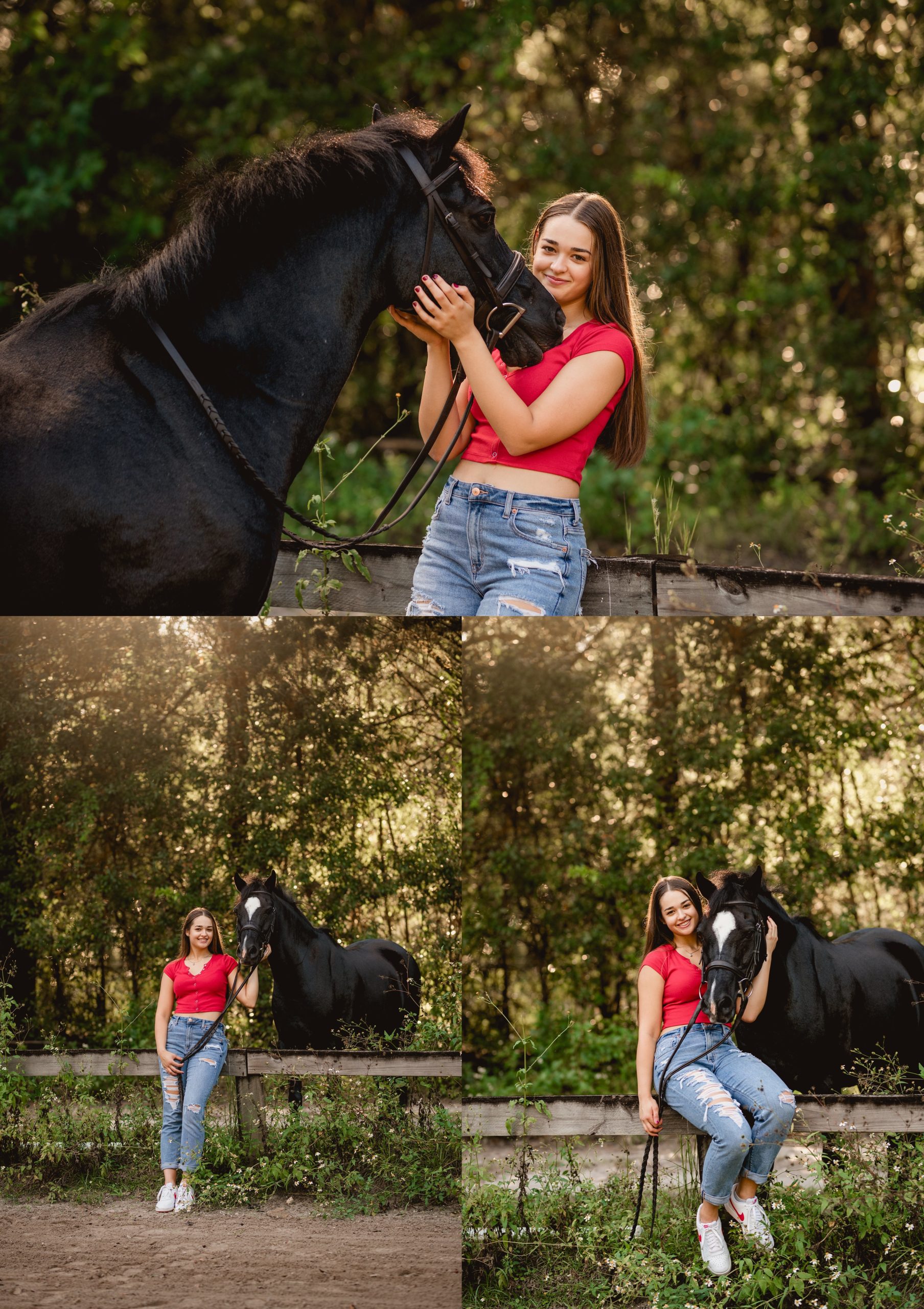 Horse and rider session during the golden hour with black pony and girl.