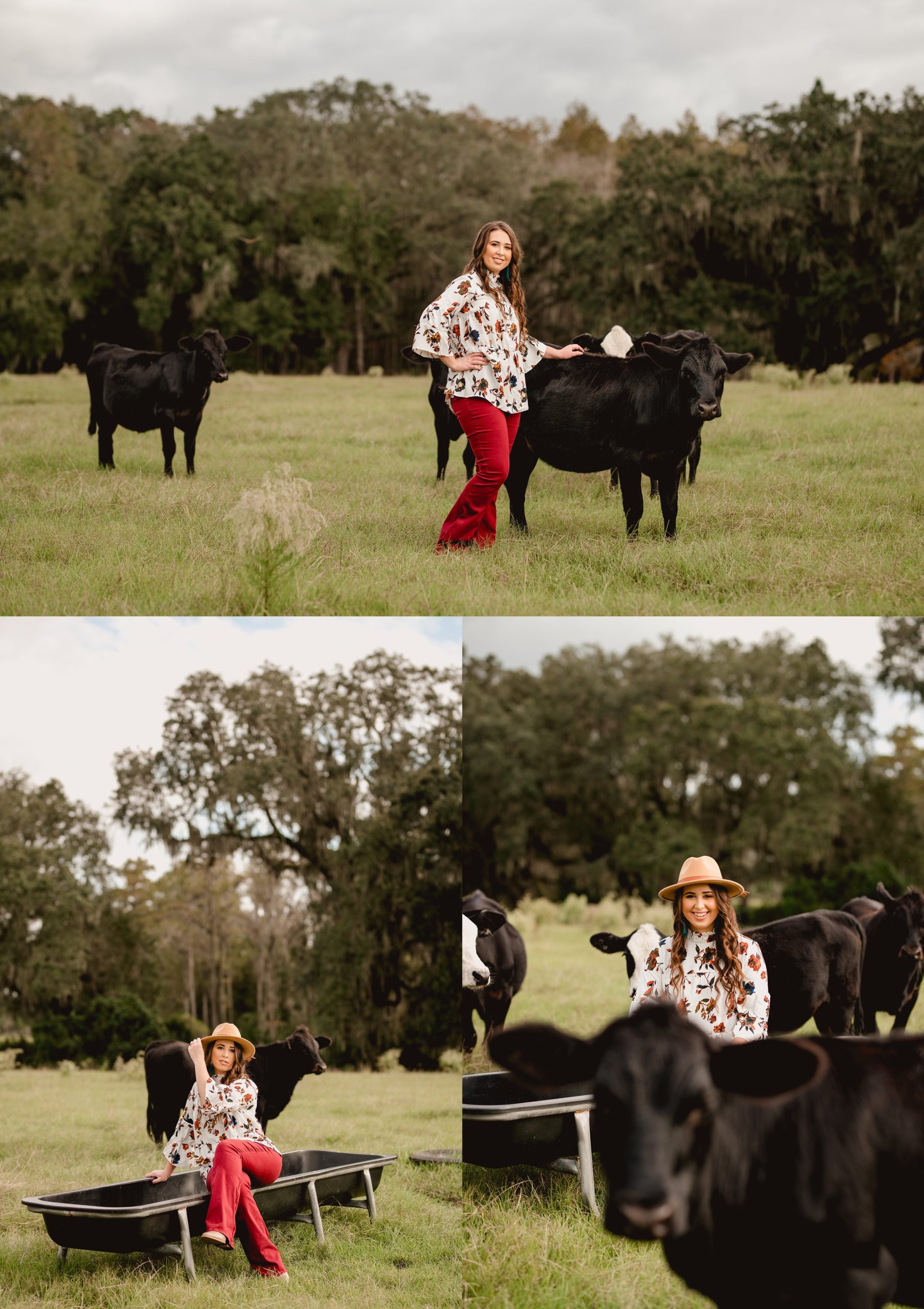 North Florida senior photographer takes pictures with girl and her cows