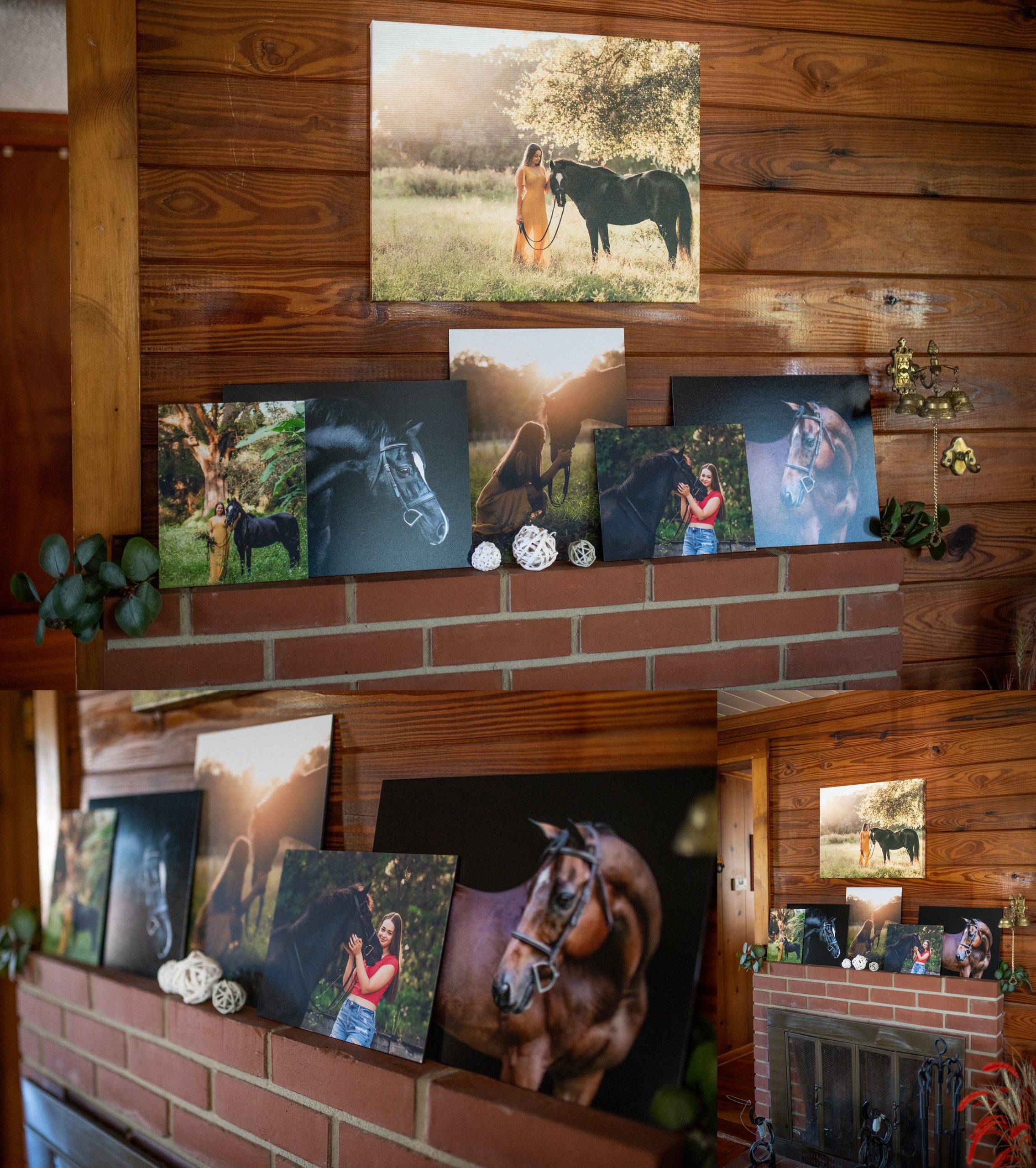 Wall art for the horse owner in North florida and South georgia.