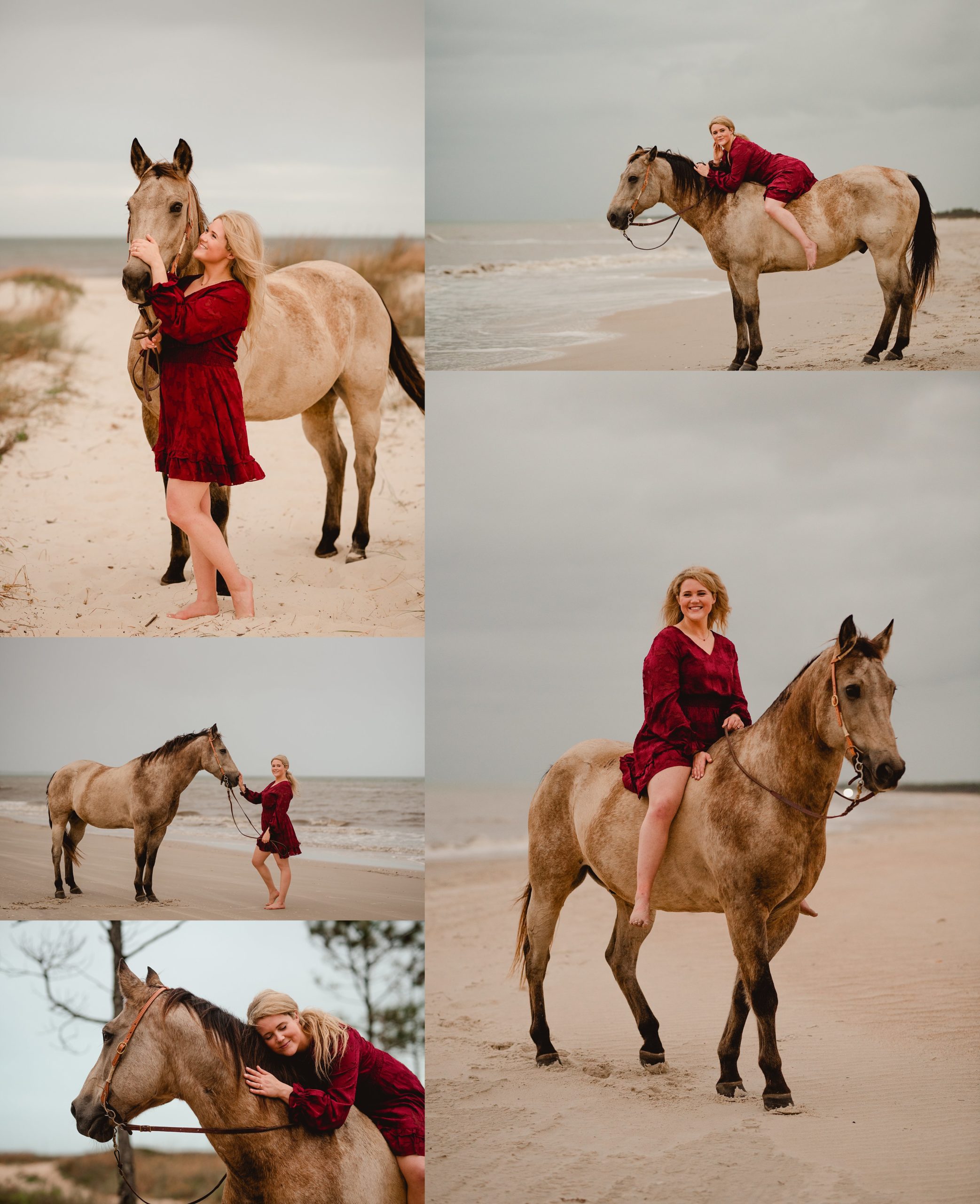 Horse photography on the beach in Florida.