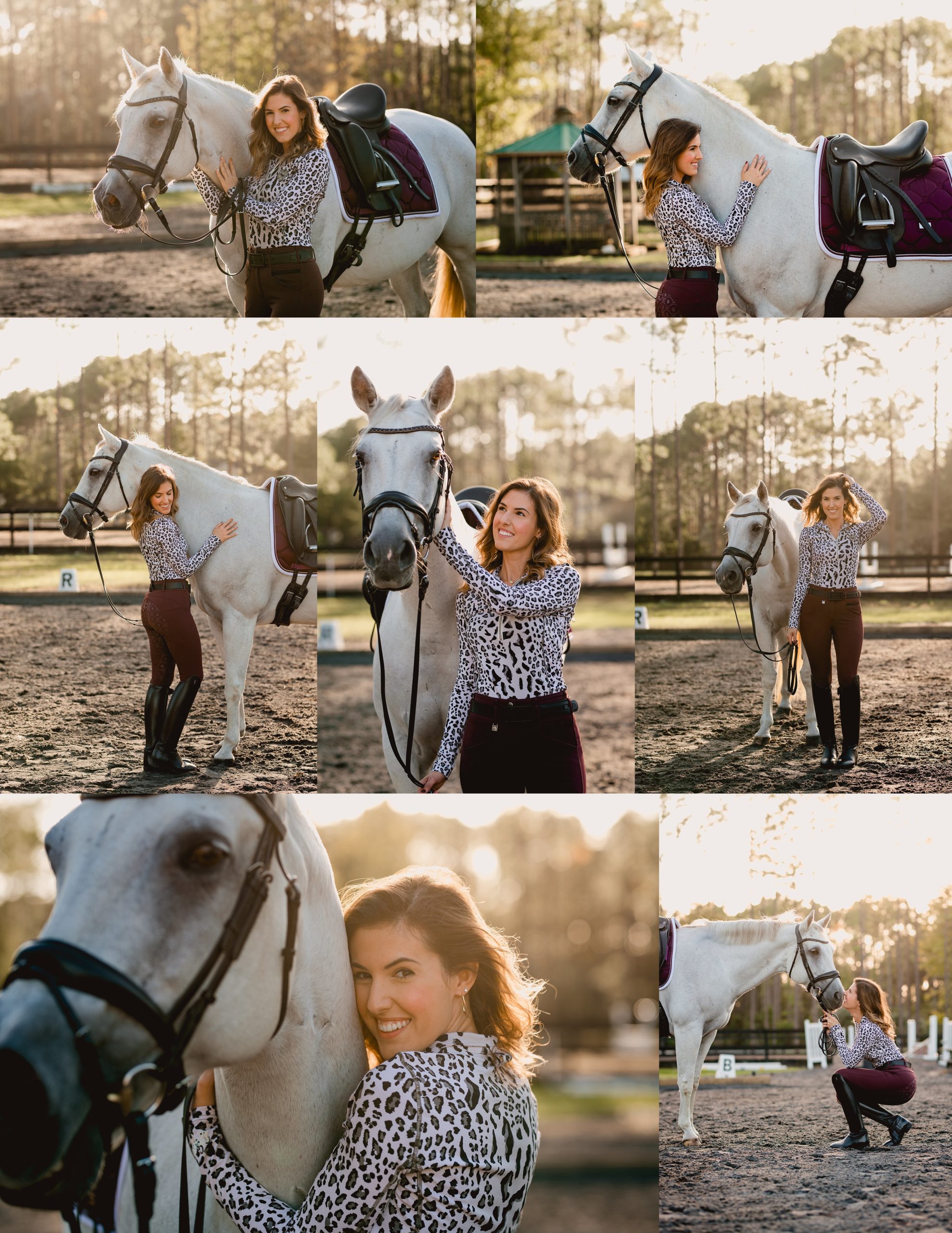 Dressage rider has photo session with her grey QH mare. Golden hour - romf breeches - horse and rider - horse poses