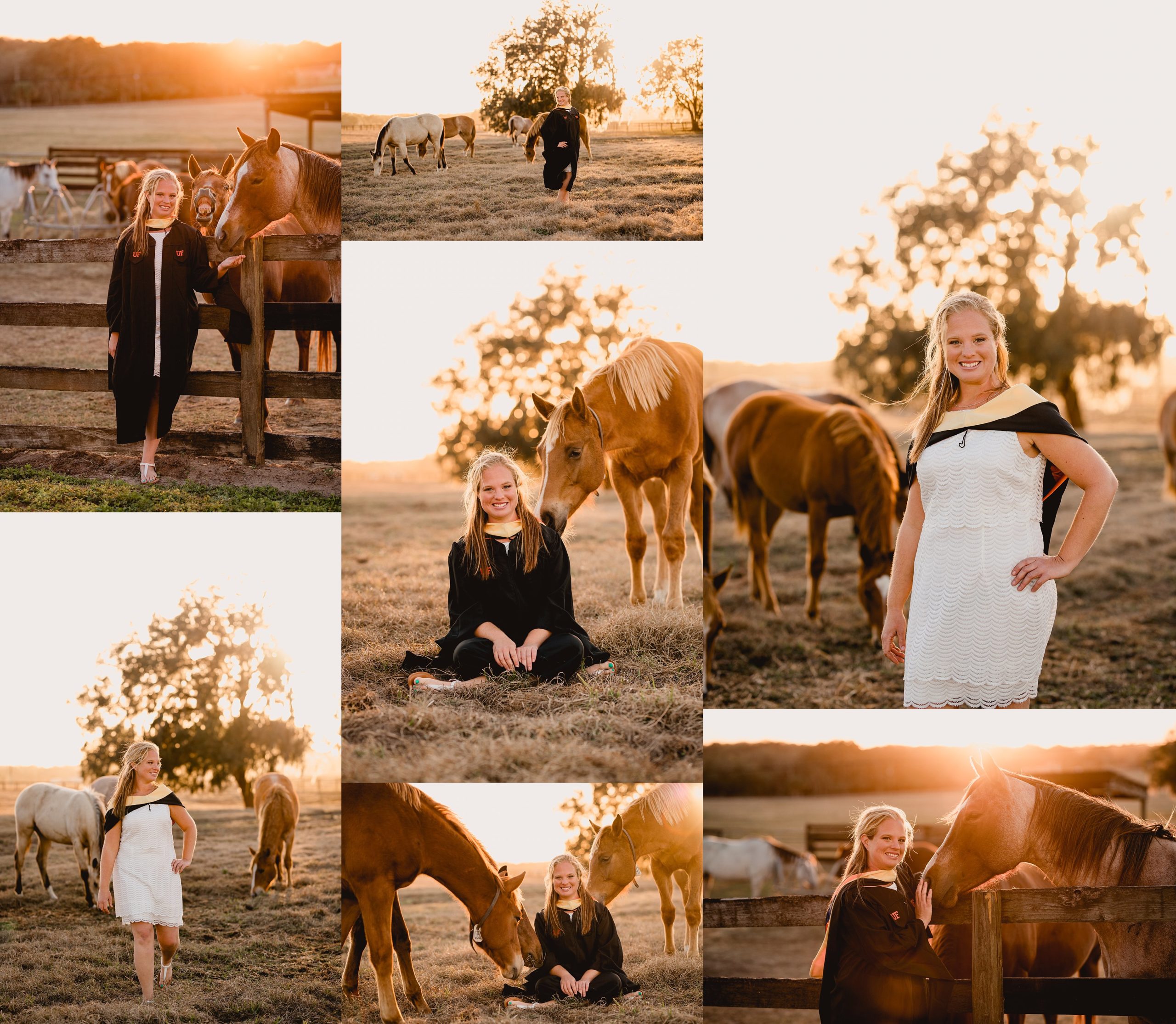 College graduation photoshoot for masters degree with horses.