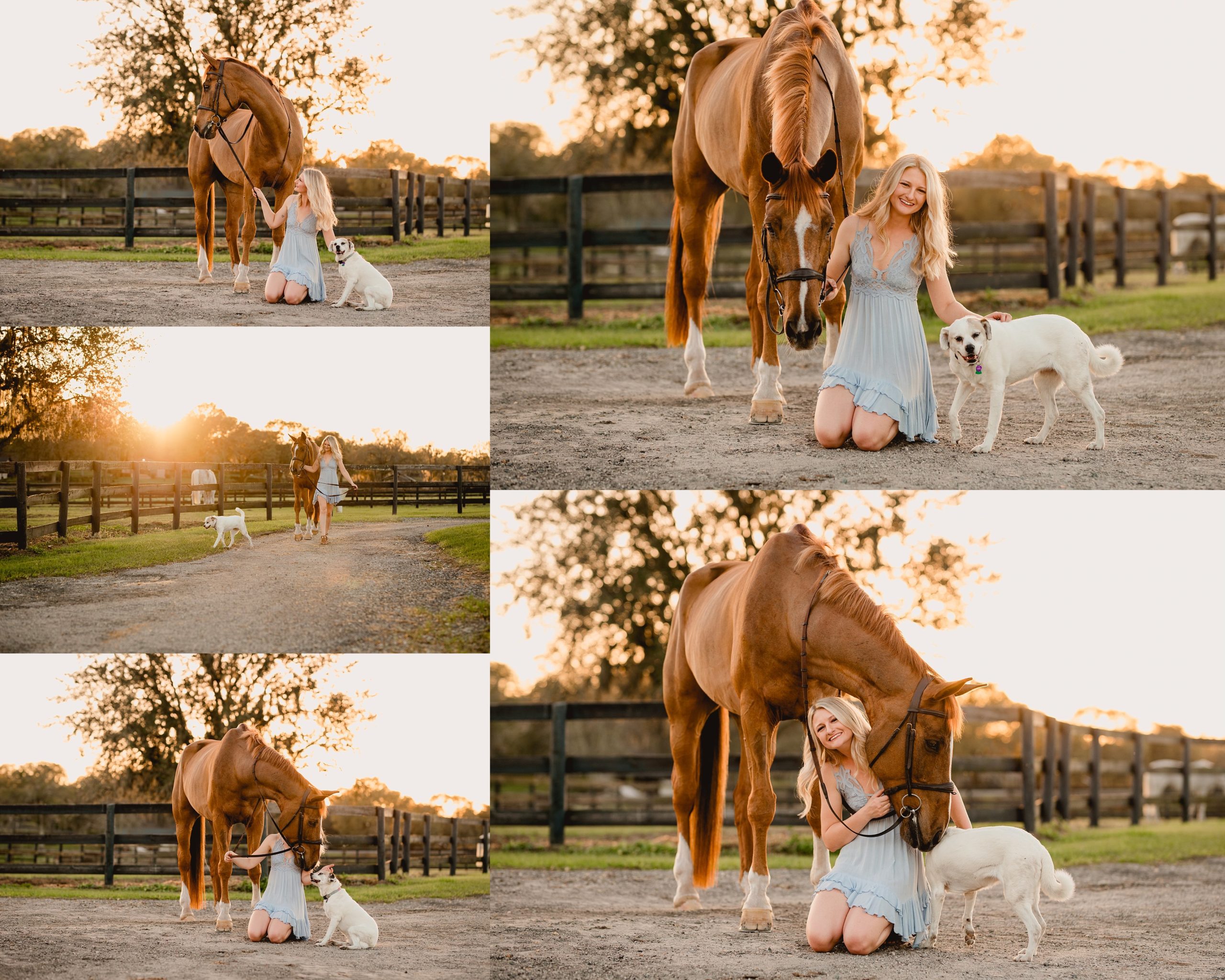Girl with her horse and dog photographed at sunset in Florida by equine photographer.