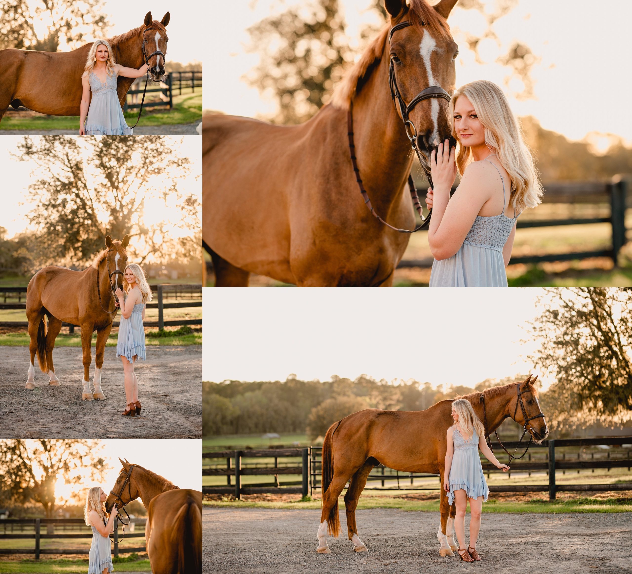 Pose ideas for girl with large warmblood horse. Ocala Fl sunset photographer